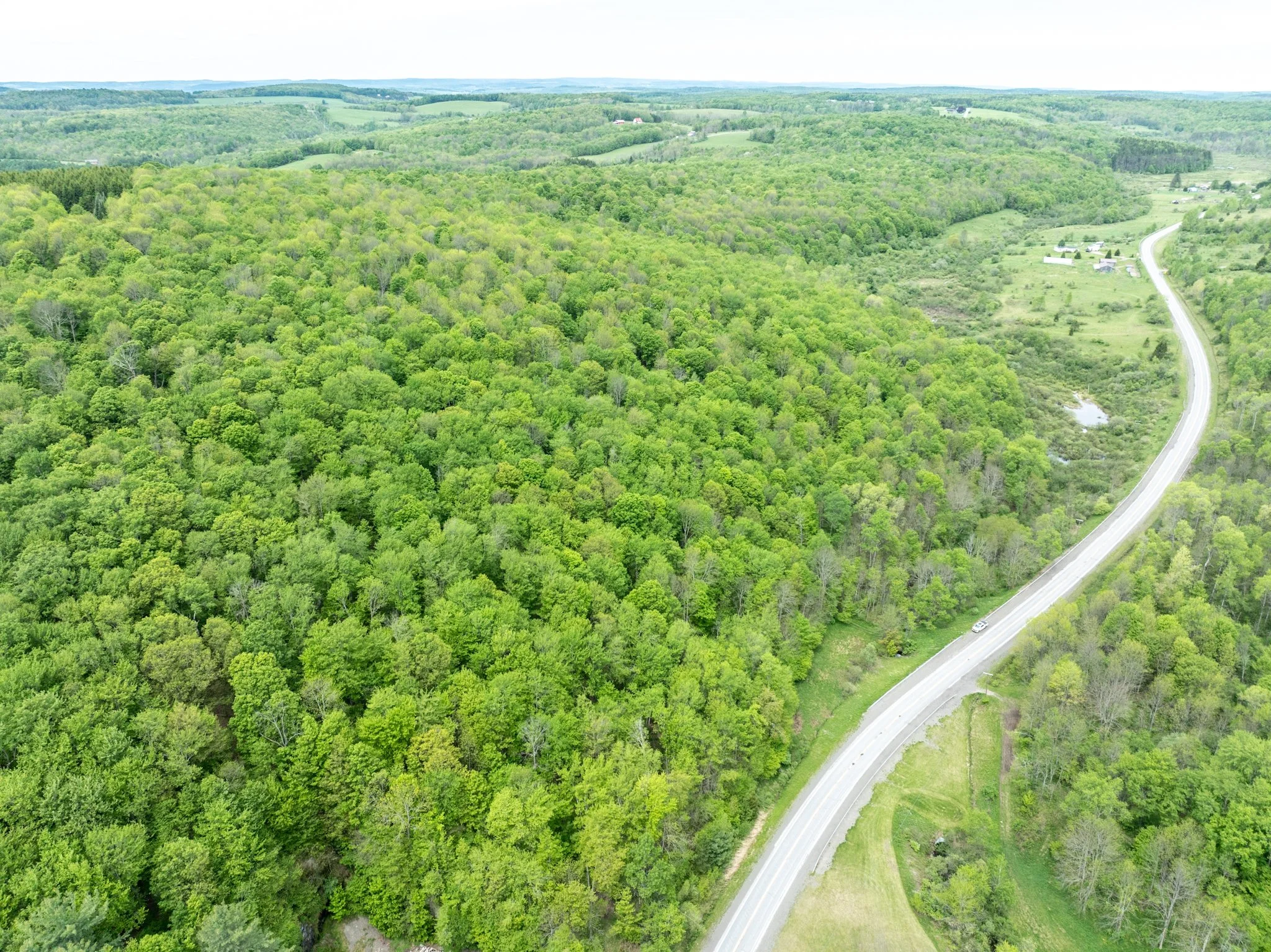 DJI_0905.jpg