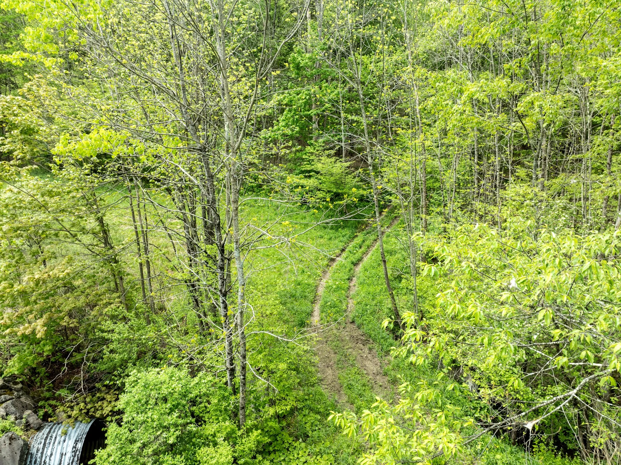 DJI_0907.jpg