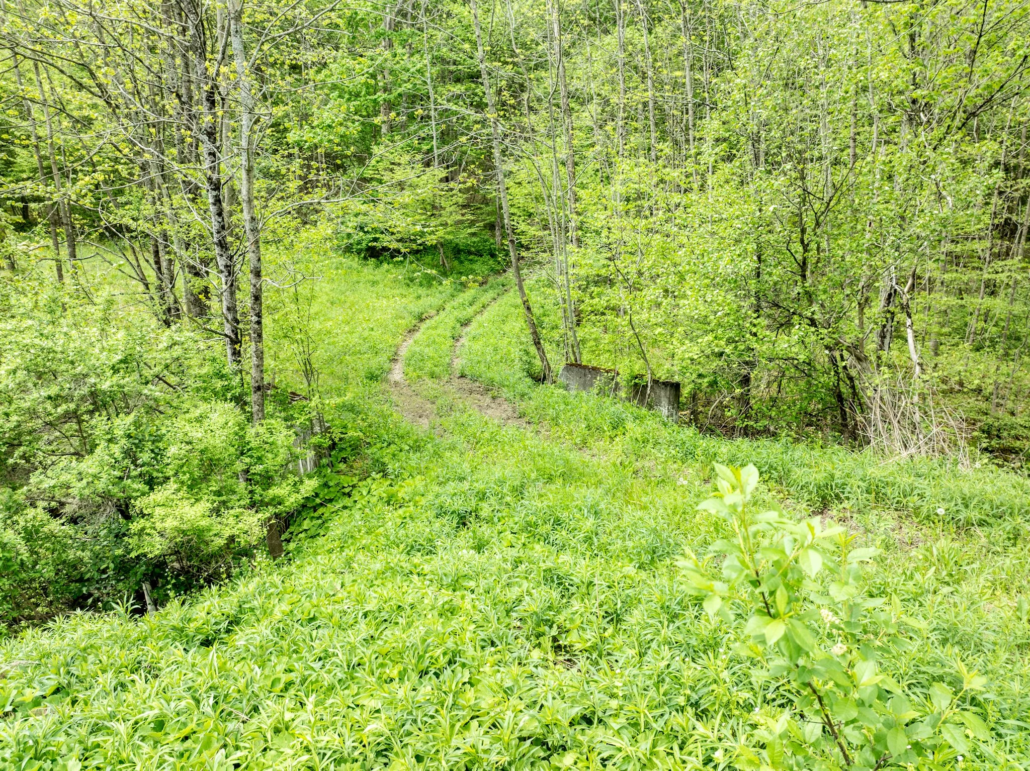 DJI_0908.jpg
