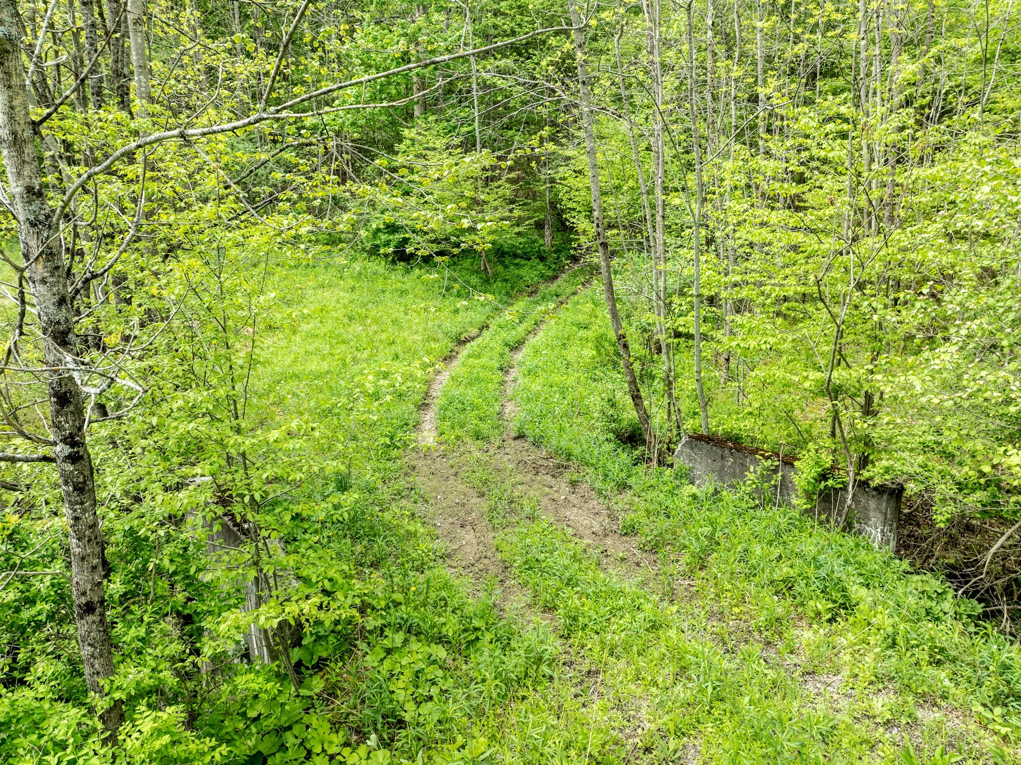 DJI_0909.jpg