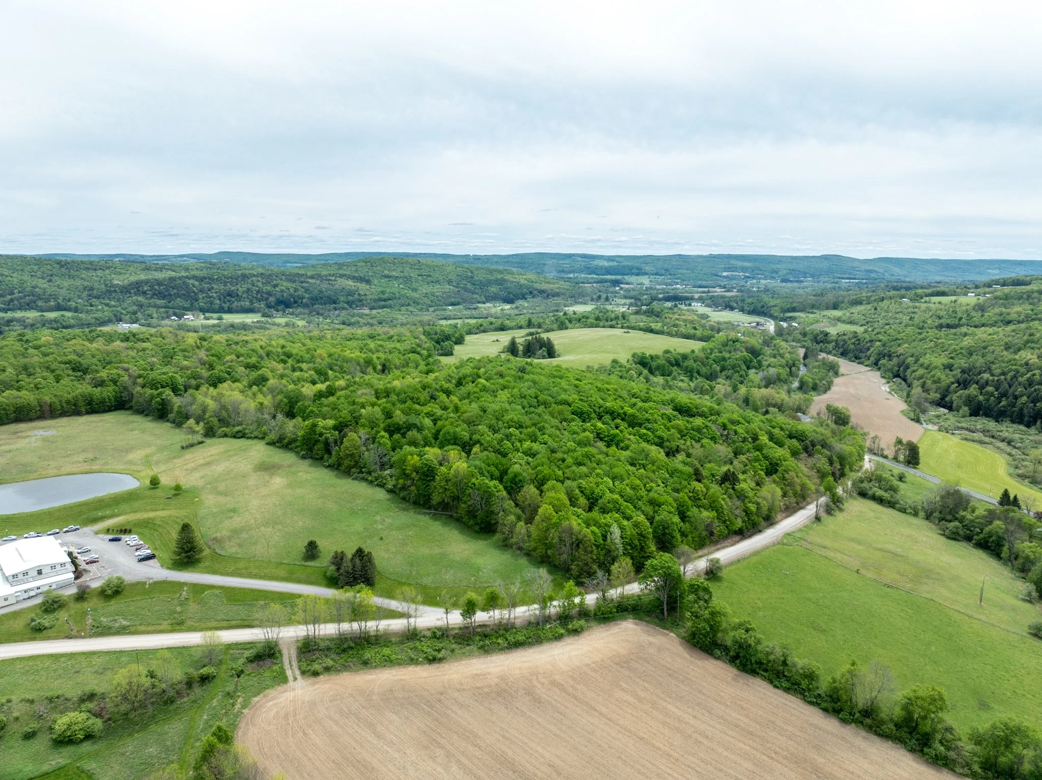 DJI_0937.jpg