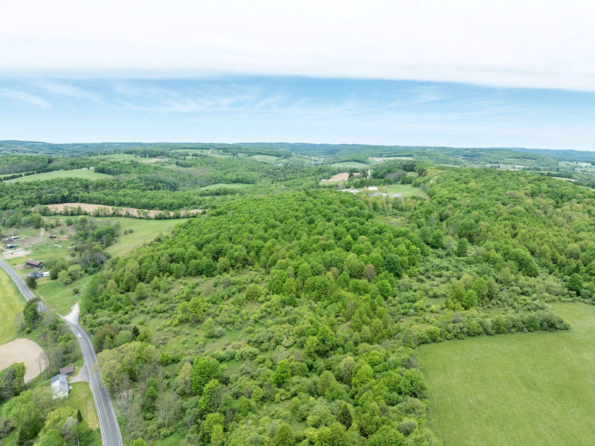 DJI_0941.jpg