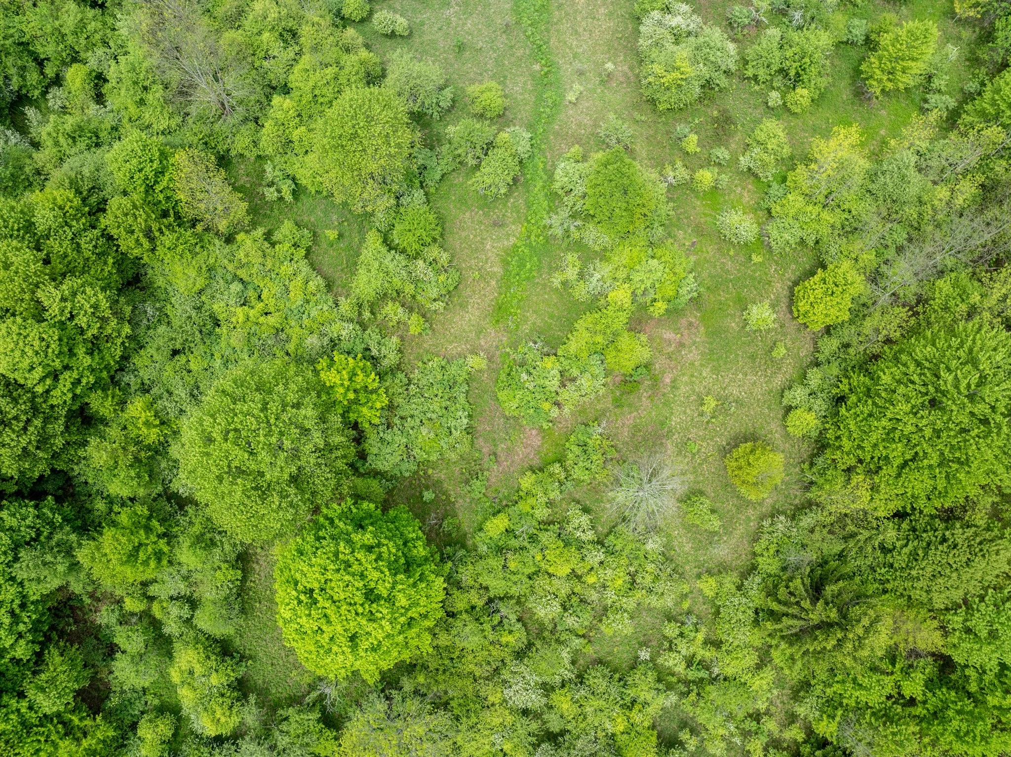 DJI_0943.jpg