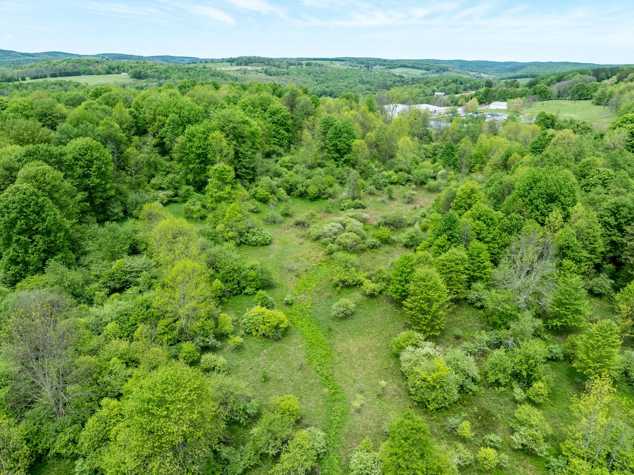 DJI_0944.jpg