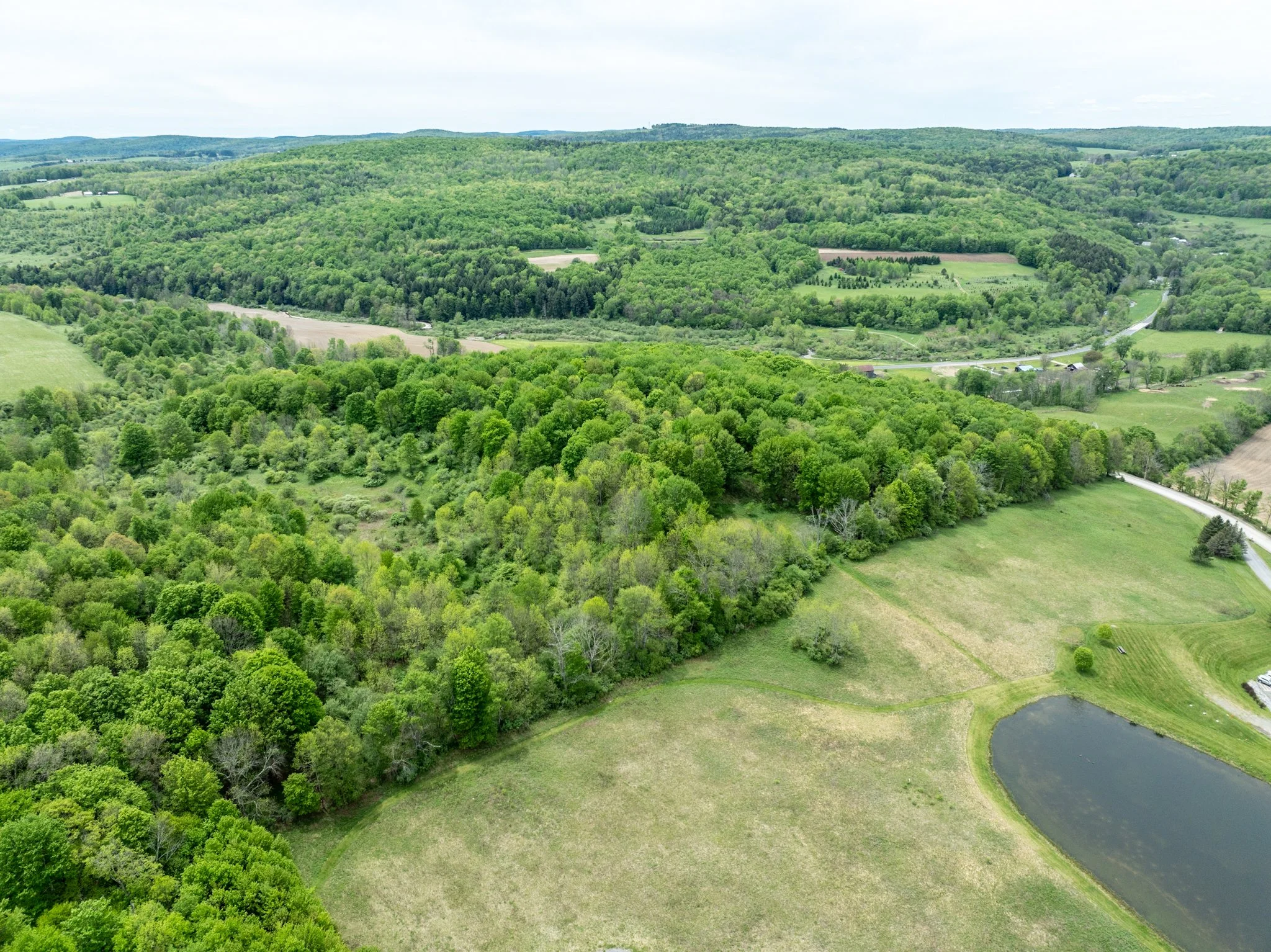 DJI_0946.jpg