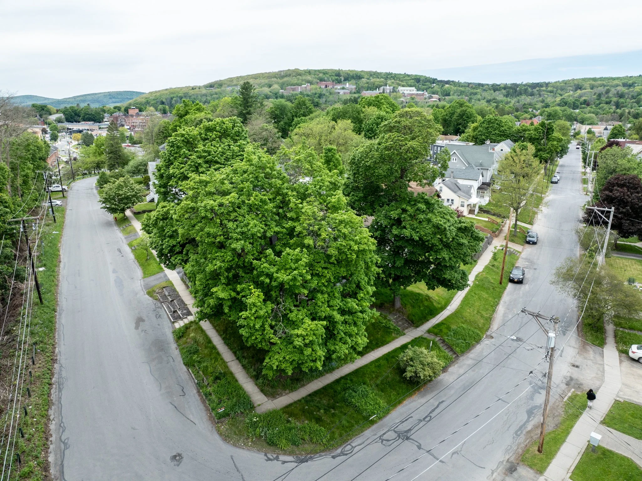 DJI_0954.jpg