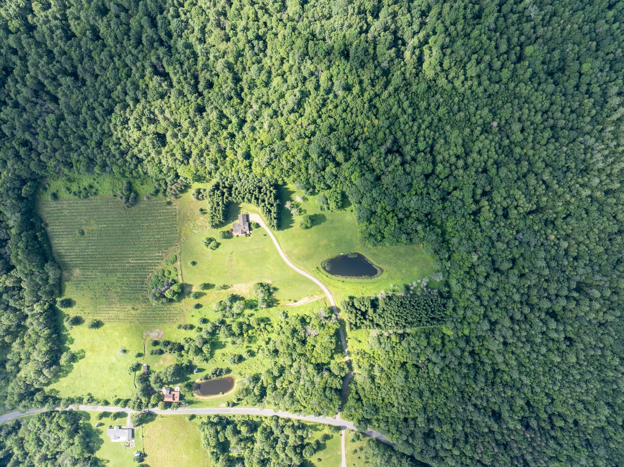 DJI_0543.jpg