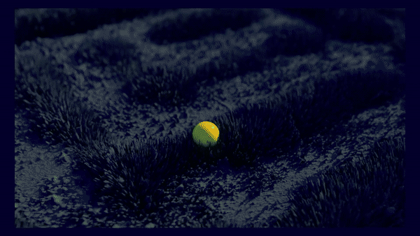 ECOGIF_001.gif