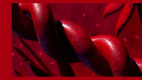 ECOGIF_005.gif