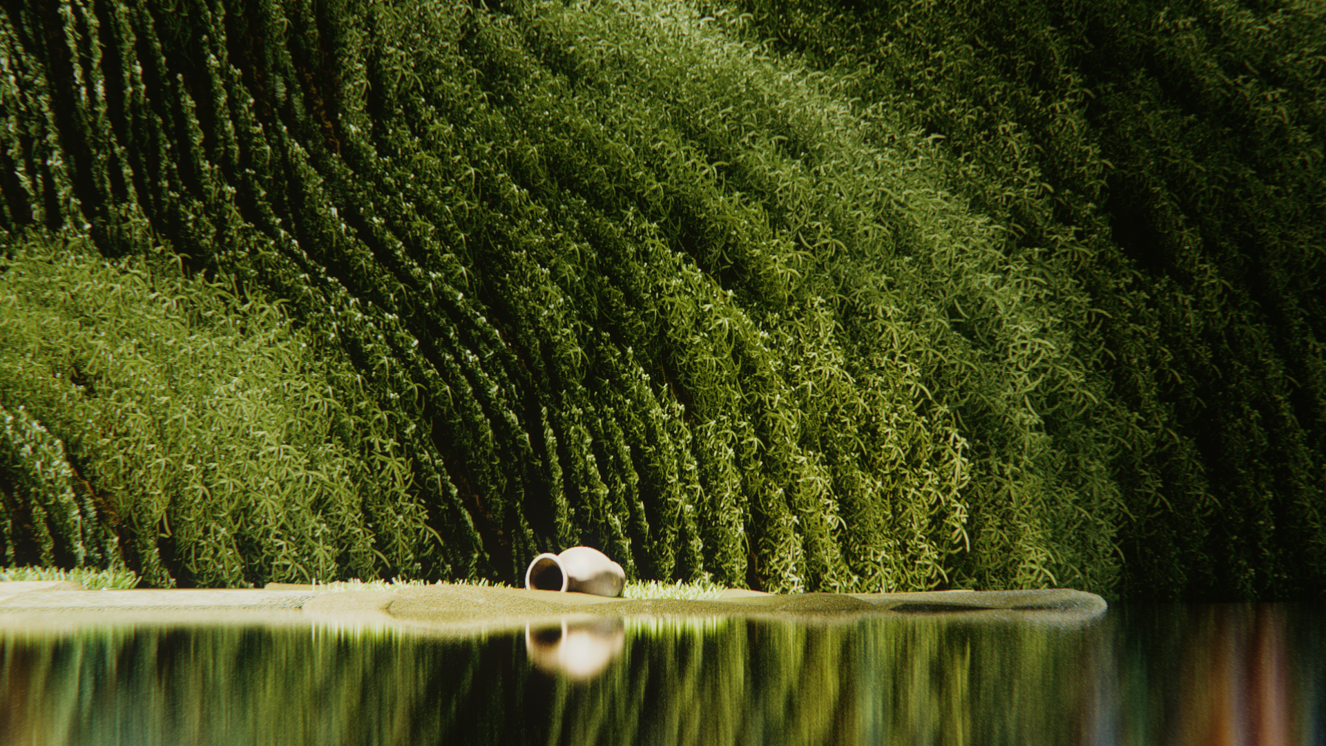 HereThere_Seed_002.png