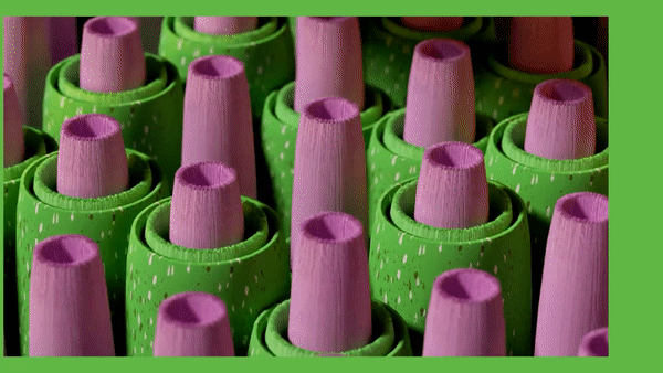 ECOGIF_002.gif