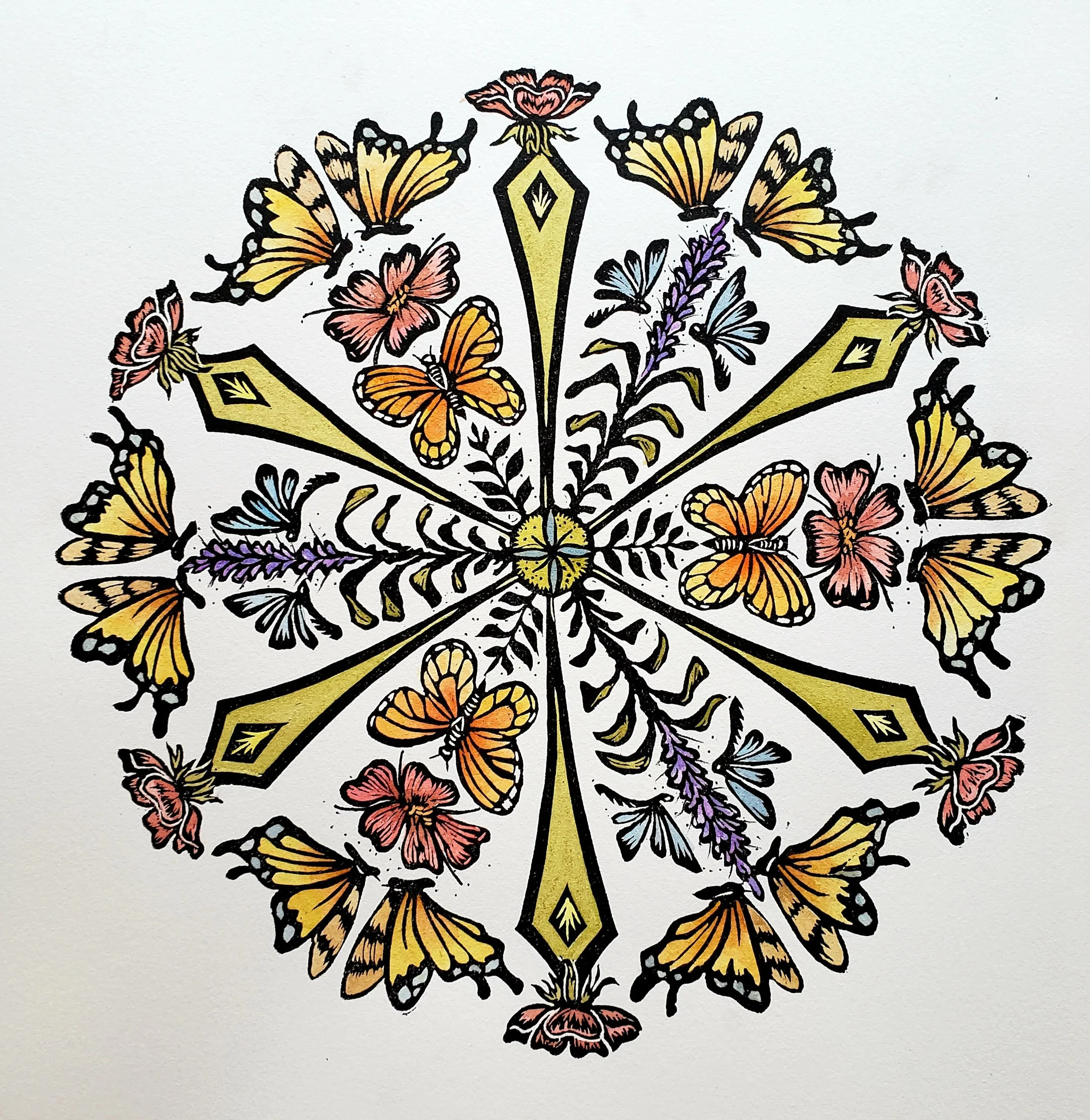 Butterflies and More