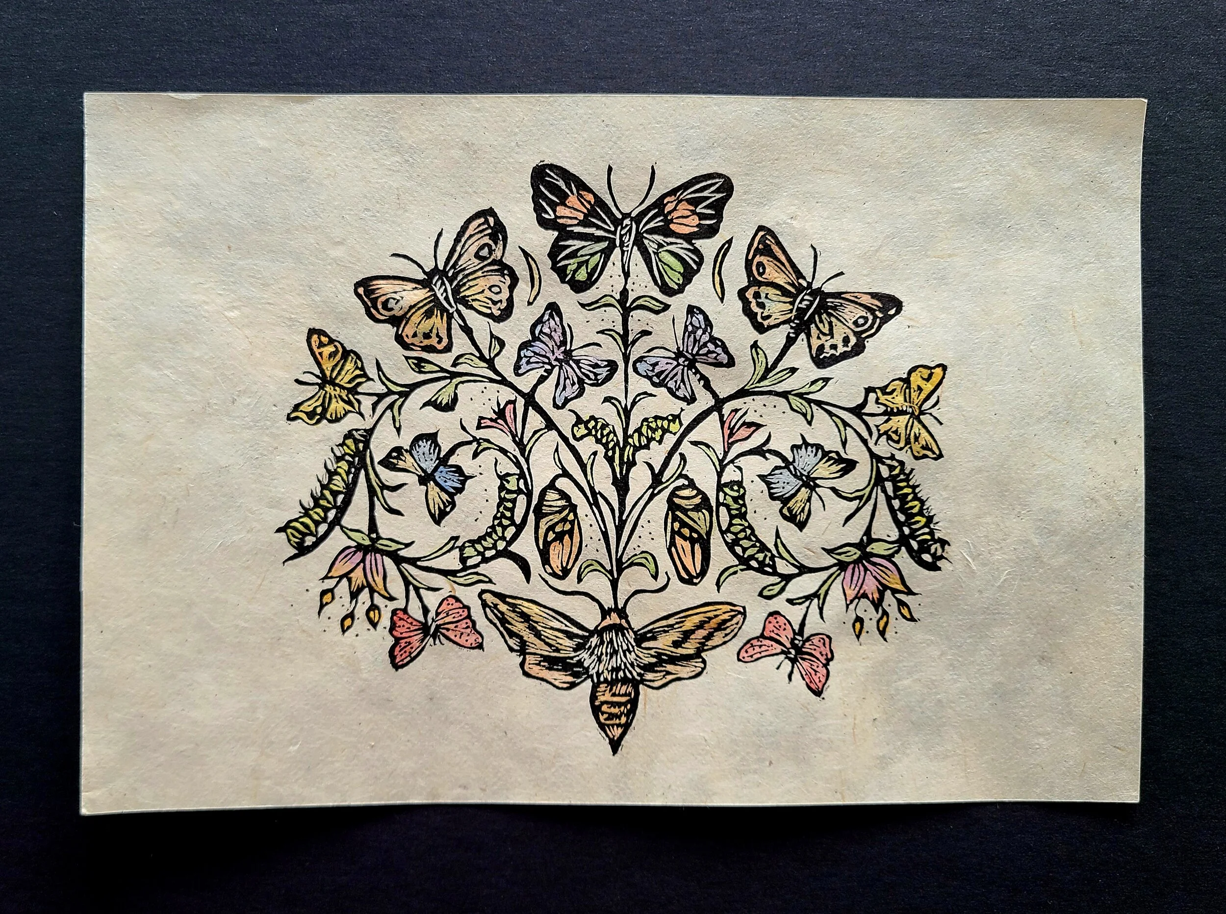 Pollinators and More