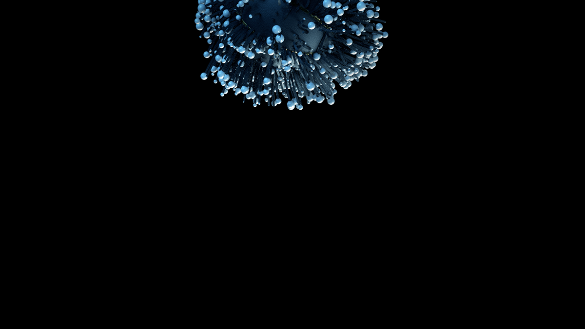 xp-014.png