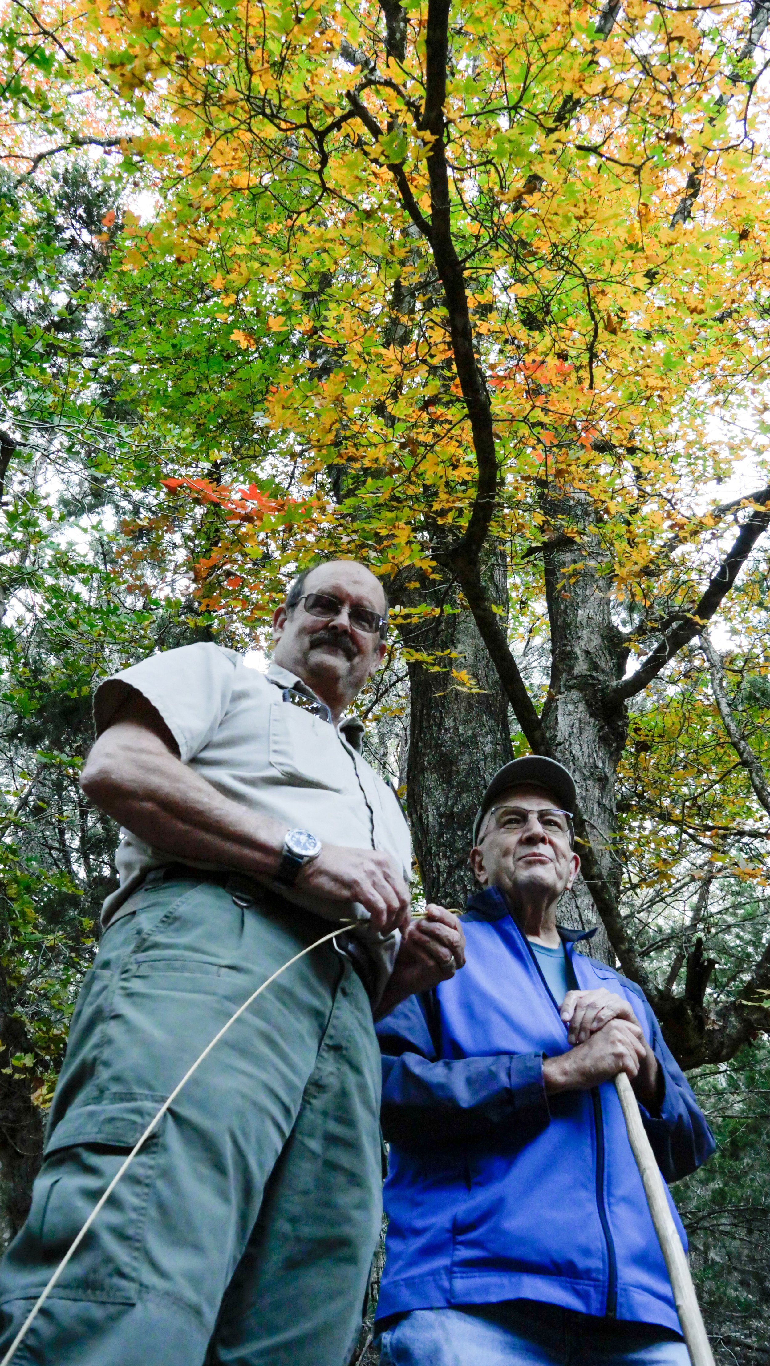 Park Superintendent and Scientist at Albert & Bessie Kronkosky State Natural Area - Pipe Creek, Texas