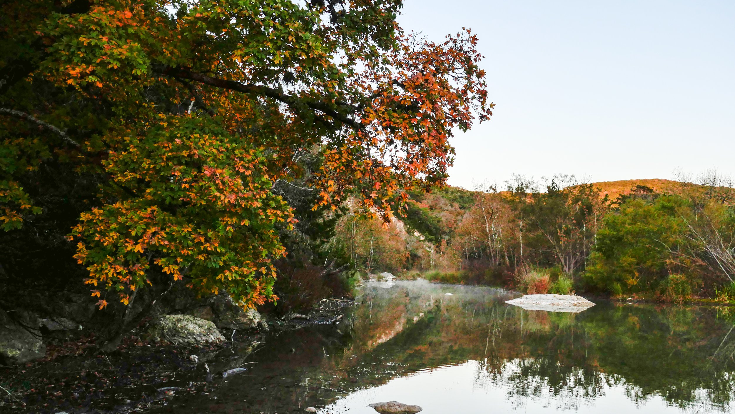 Lost Maples State Natural Area - Vanderpool, Texas