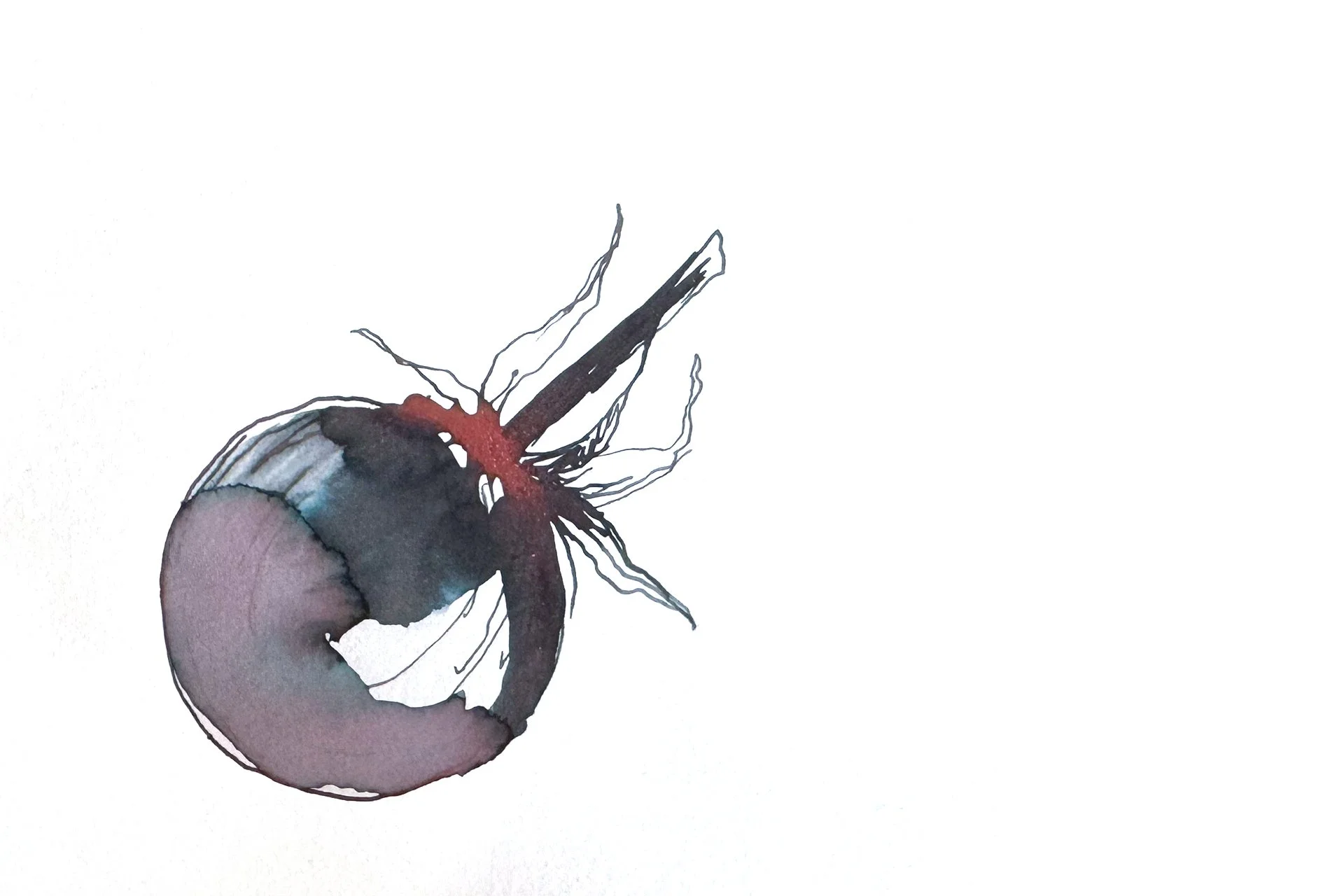 An ink drawing of a cherry tomato, with a stubby stem and sepals still attached. It is drawn in odd dark greens and purples, where the ink has bloomed.