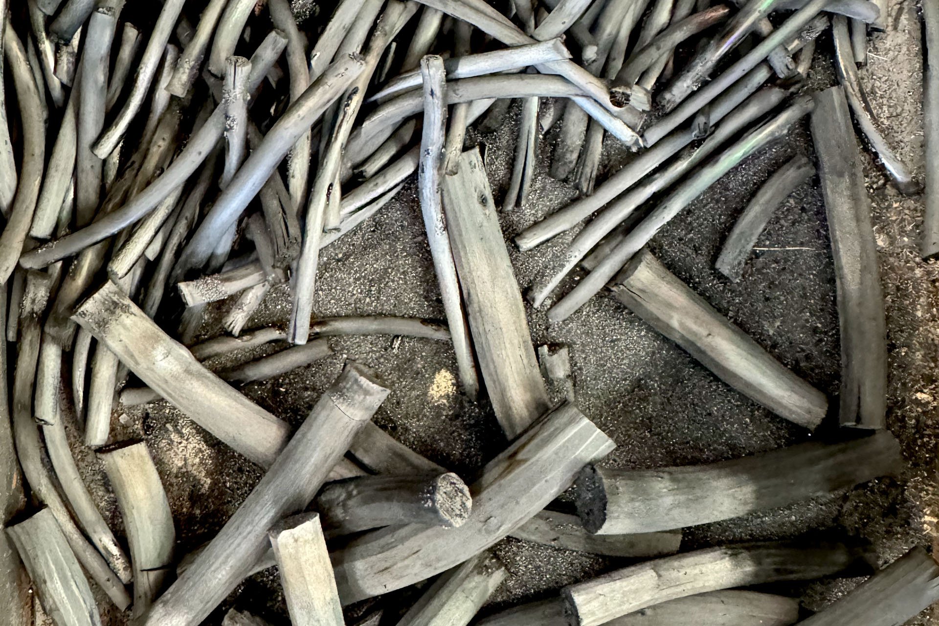 Charcoal Making and Drawing at Walderchain Wood - 25th July