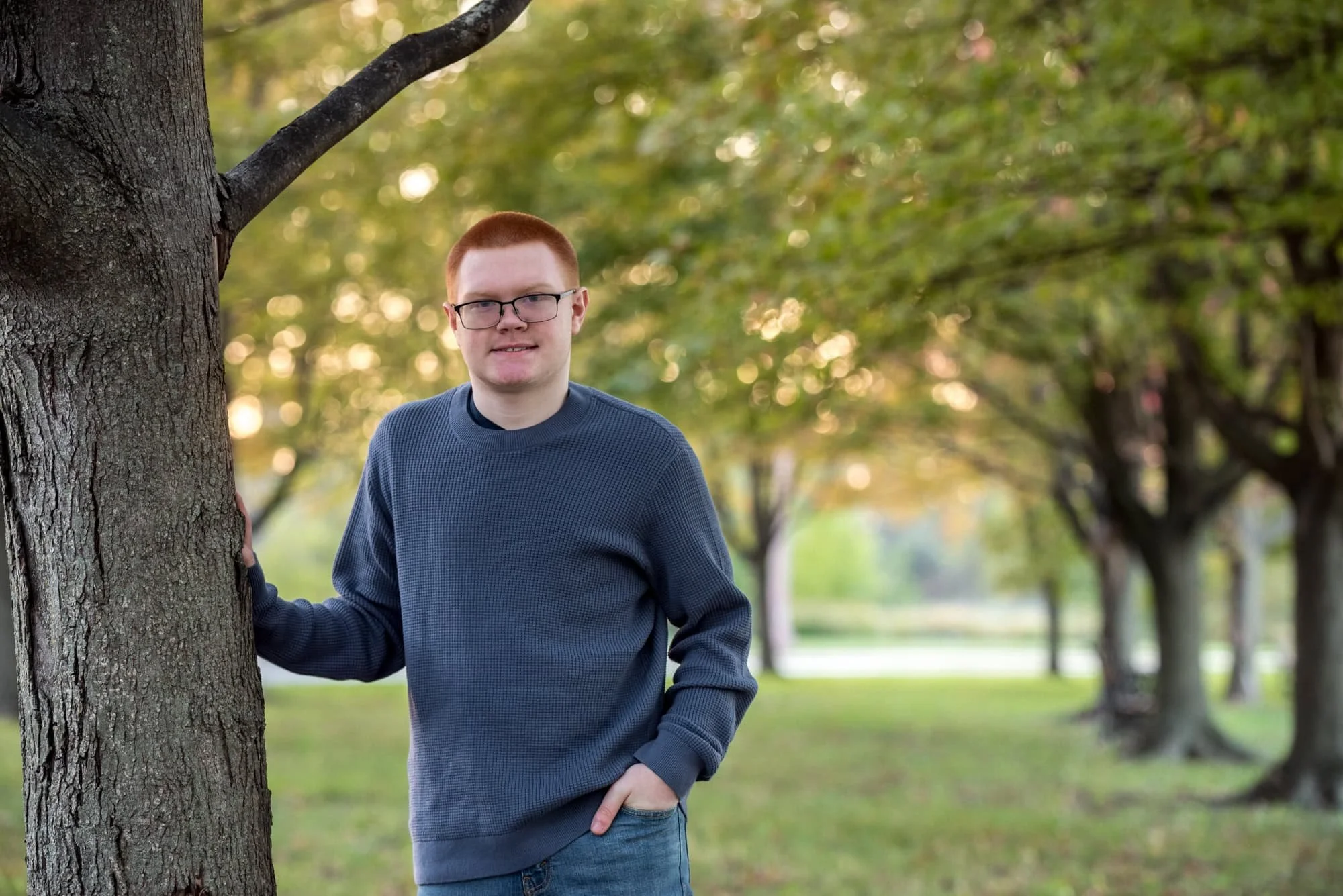 Fall image in Forest Park capturing a senior in a charcoal shirt standing with one hand on a tree trunk amid sunlit foliage.