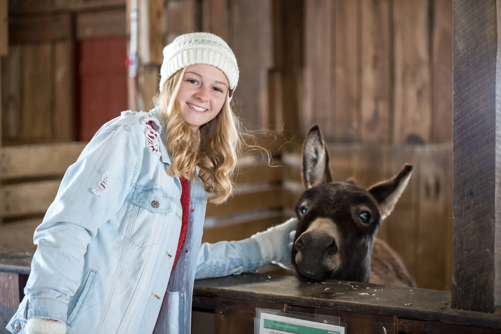 Unique country senior photo showing a girl in a white beanie and blue jean jacket smiling for the camera while petting a donkey resting its chin on a stable ledge in Arnold, Missouri.