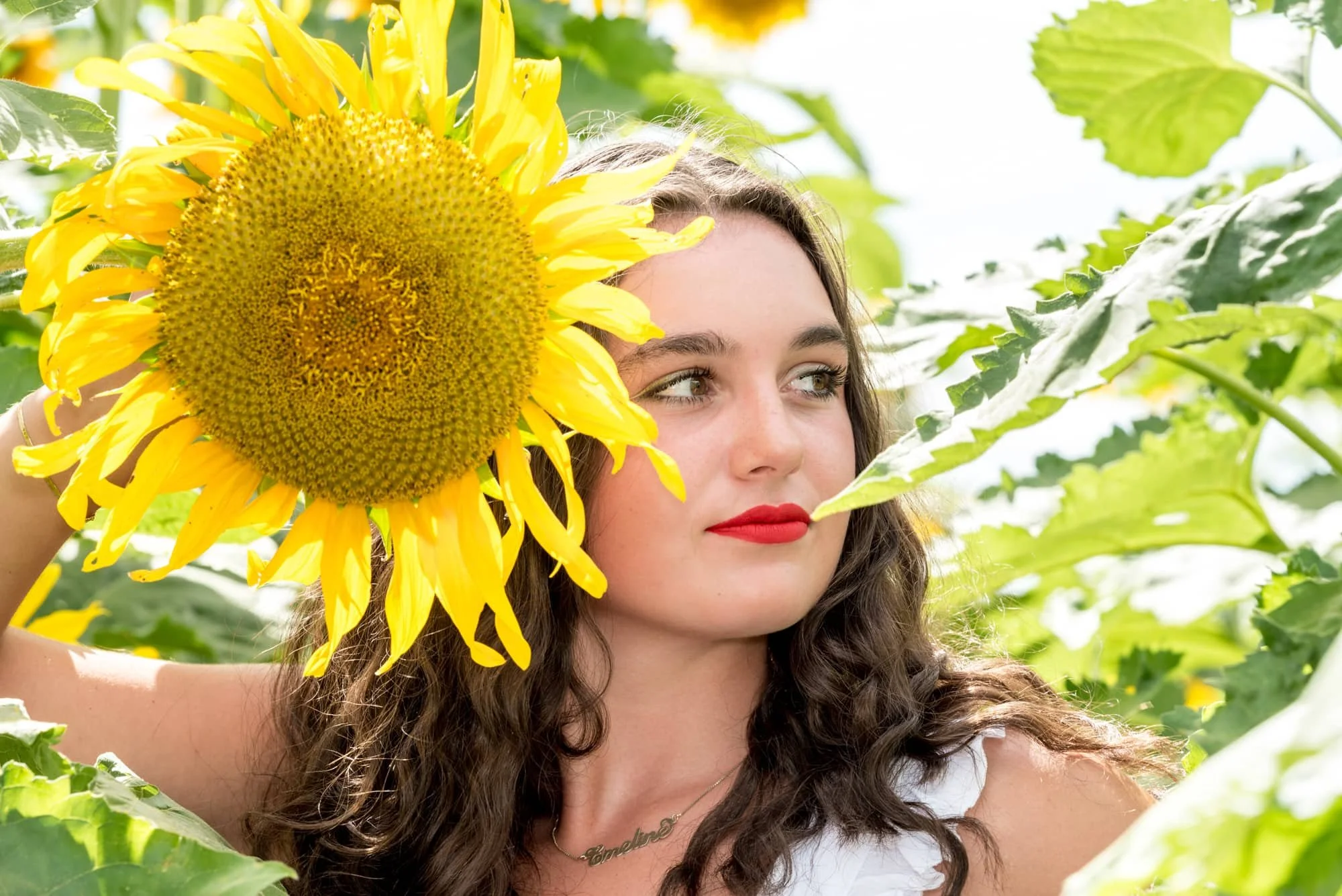 High school senior girl in a white tank top, standing in a sunflower patch and looking off into the distance while holding a large flower by her face as the sun beams down at Eckert’s in Belleville IL.