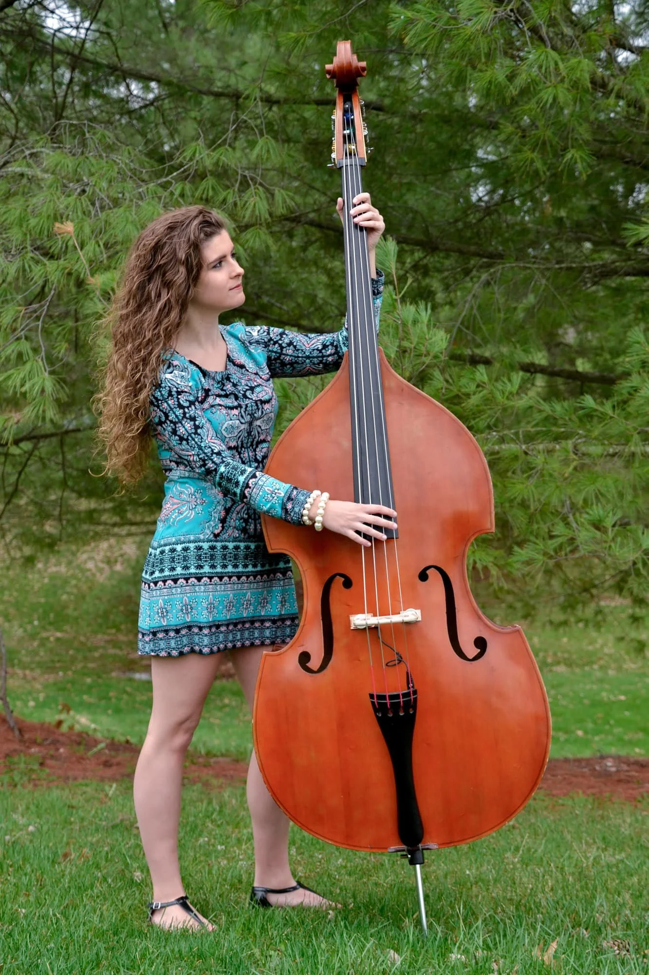 Senior picture of a girl holding her upright bass and looking down at it as if playing, standing in front of a cedar tree at Bolm-Schuhkraft Park in Columbia IL.