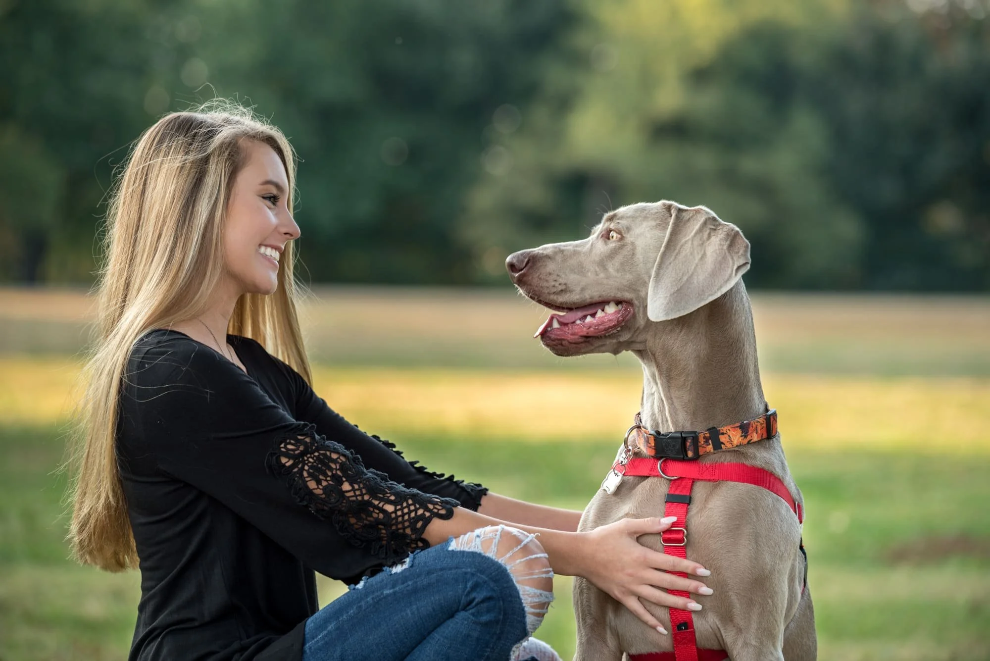 Whimsical senior portrait by a Lafayette Square senior photographer, featuring a smiling girl in a black shirt and ripped jeans squatting down to look face-to-face with her brown Weimaraner dog during a golden hour sunset.