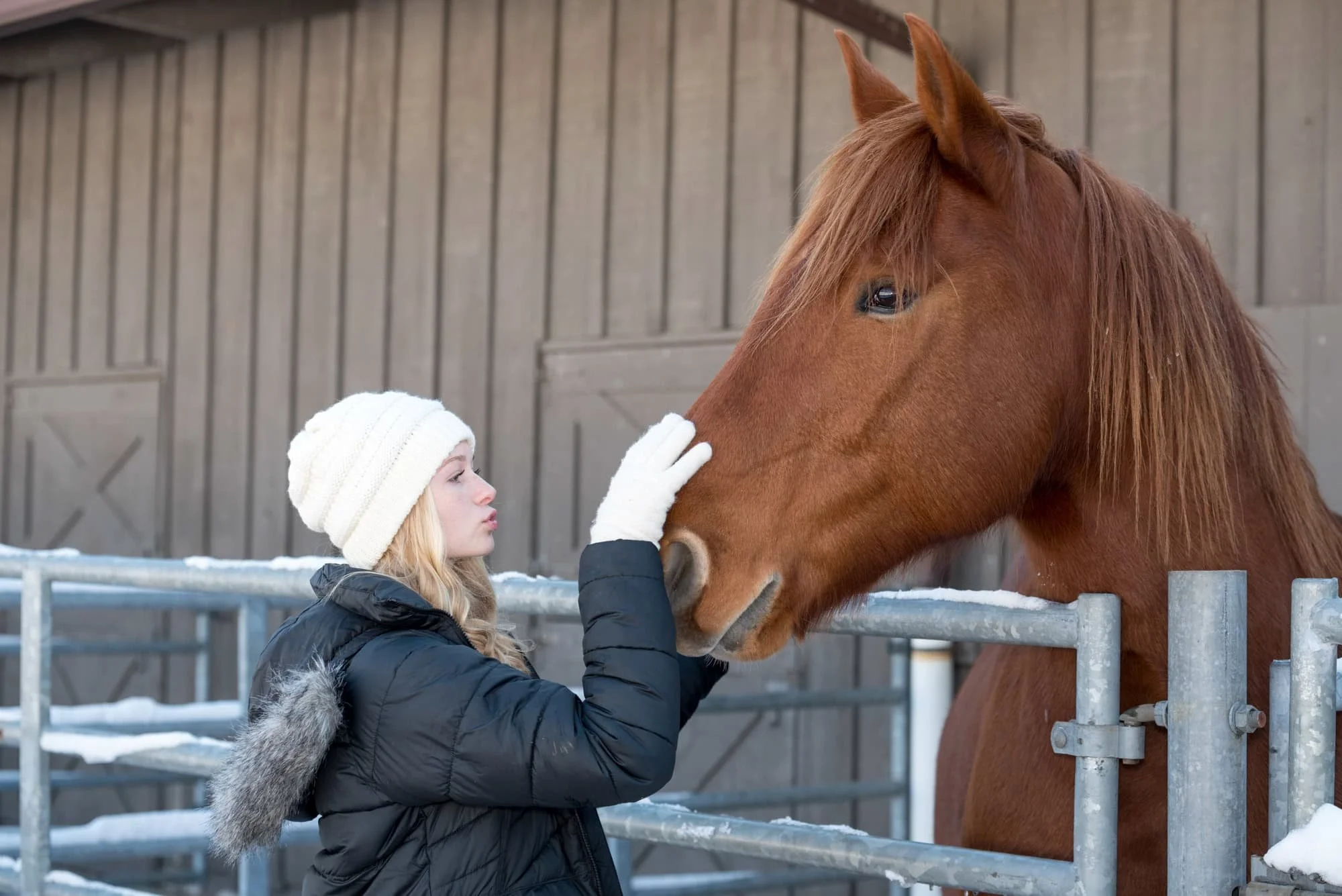 Charming winter senior portrait of a girl wearing a white beanie, black coat, and white gloves, gently petting a brown horse's nose in its snow-covered pen at Suson Park.