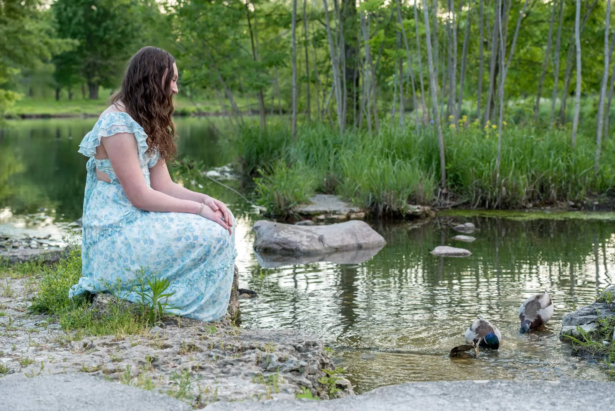 High school senior girl sits quietly on the edge of a wooded creek bed, watching ducks swim in the reflective water taken by St. Louis senior photographer.