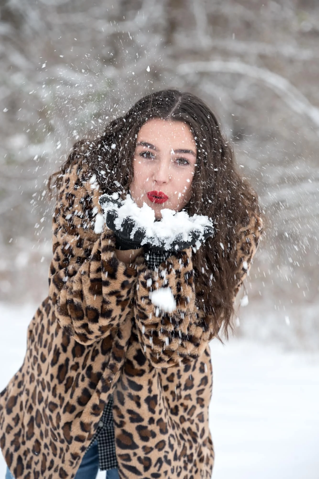 Playful winter senior portrait by a Columbia IL senior photographer, featuring a girl with bold red lipstick wearing a fashionable leopard print coat while blowing fresh snow out of her hands in the middle of a snowy forest.