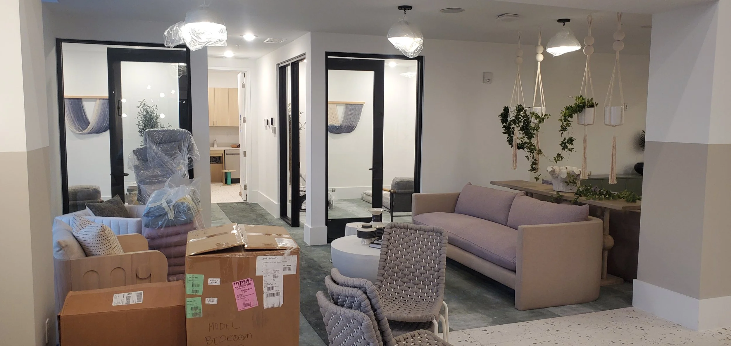 Living room with sofa, chairs, and hanging planters, part of a home under construction or renovation with boxes and packing materials.