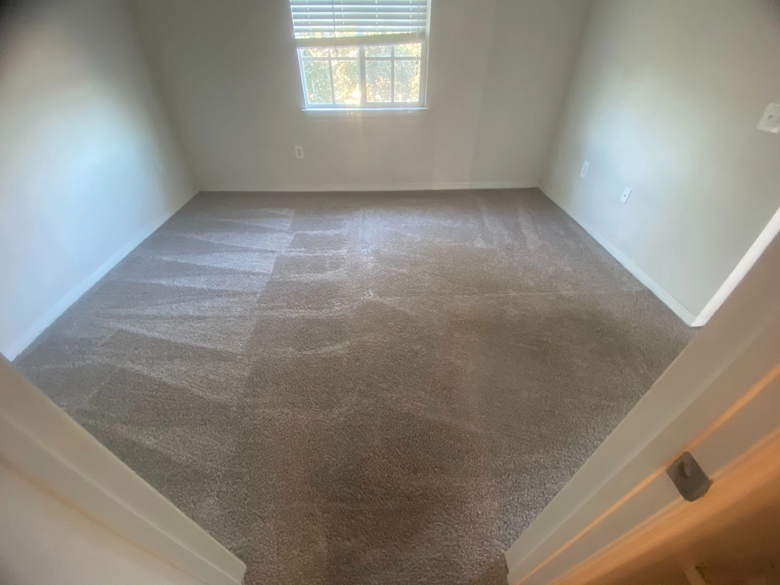 Some example of vacuums carpet Cleaning lines Deep pile has a tendency to always look fantastic. I can almost hear you said do not walk on this carpet.