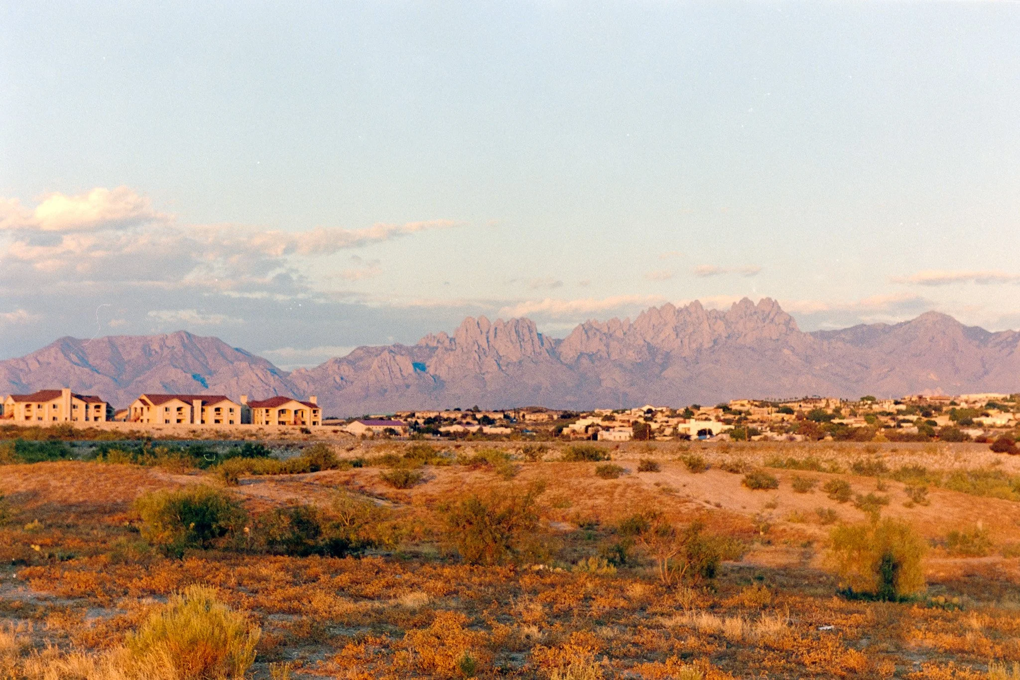 _DSF5638.jpg