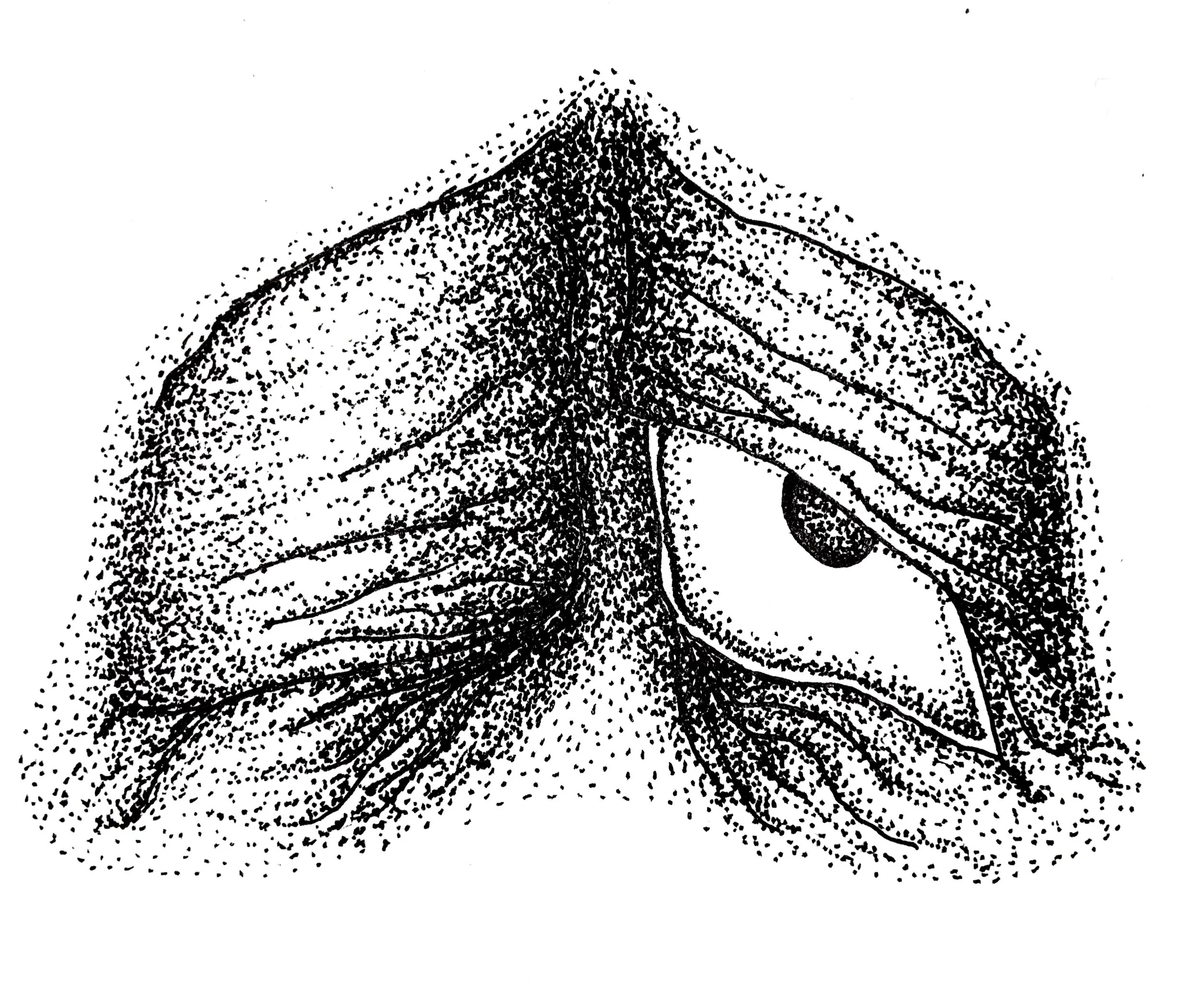 FEFD5815-C48F-4E24-8D7F-353FE656BEFB