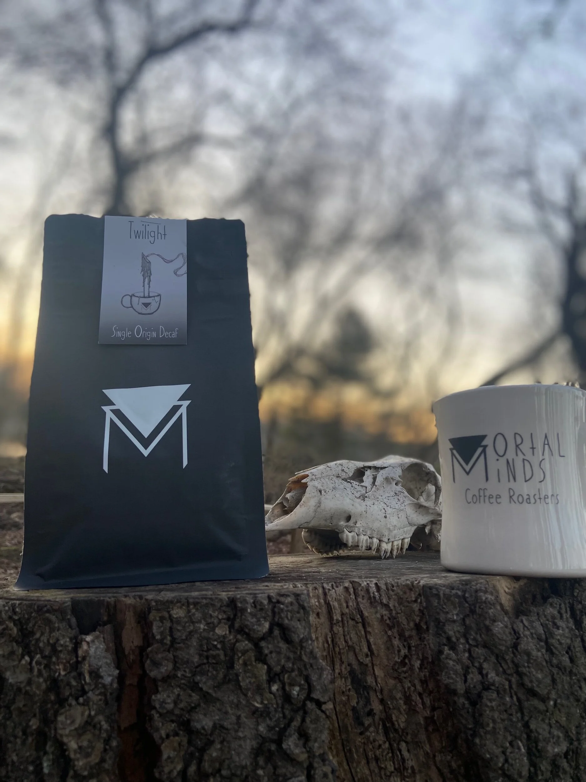 D4498EF0-787D-497A-88BC-63091CD3EEA2