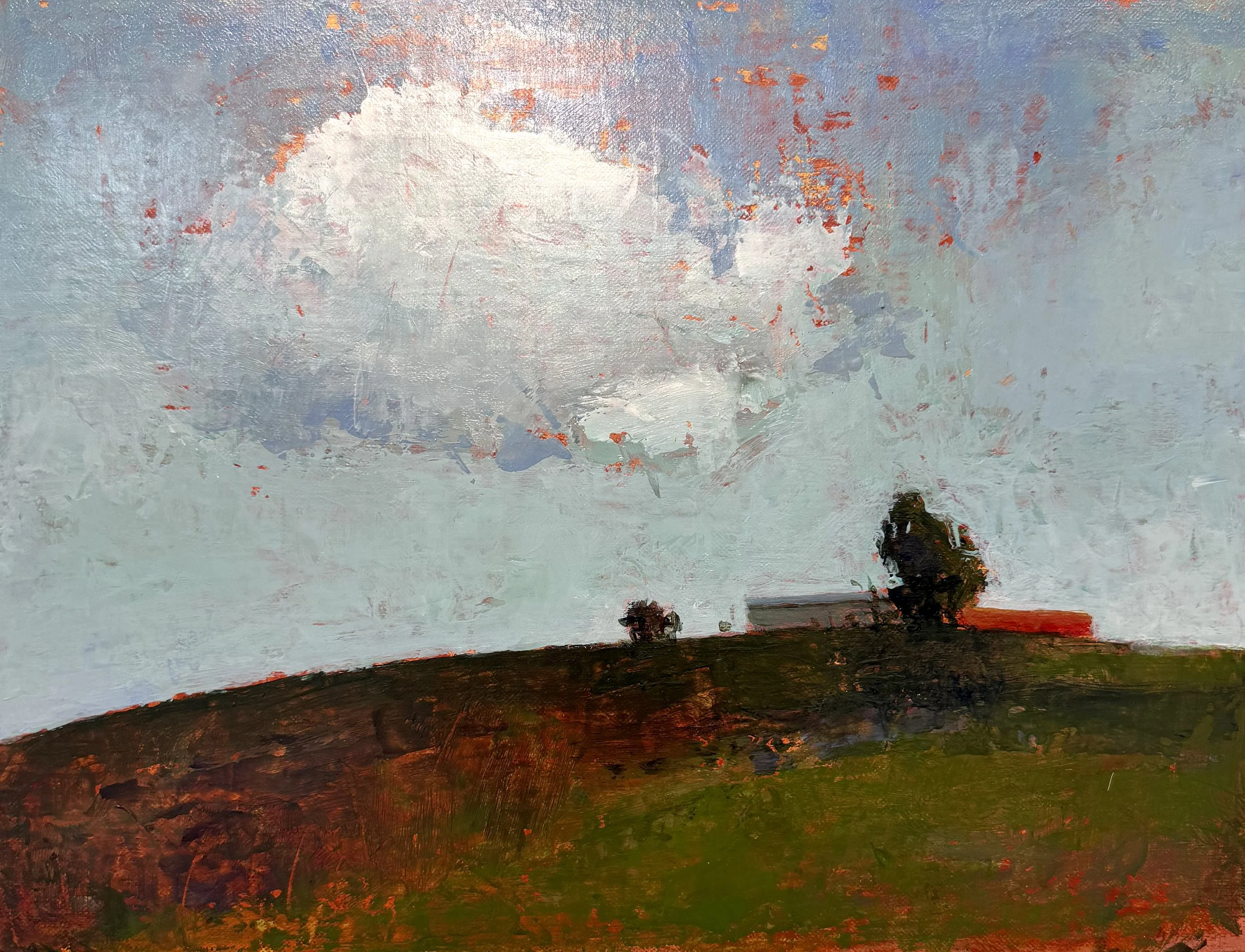 Moby Cloud
Acrylic on Panel
12" X 16"
$1,200