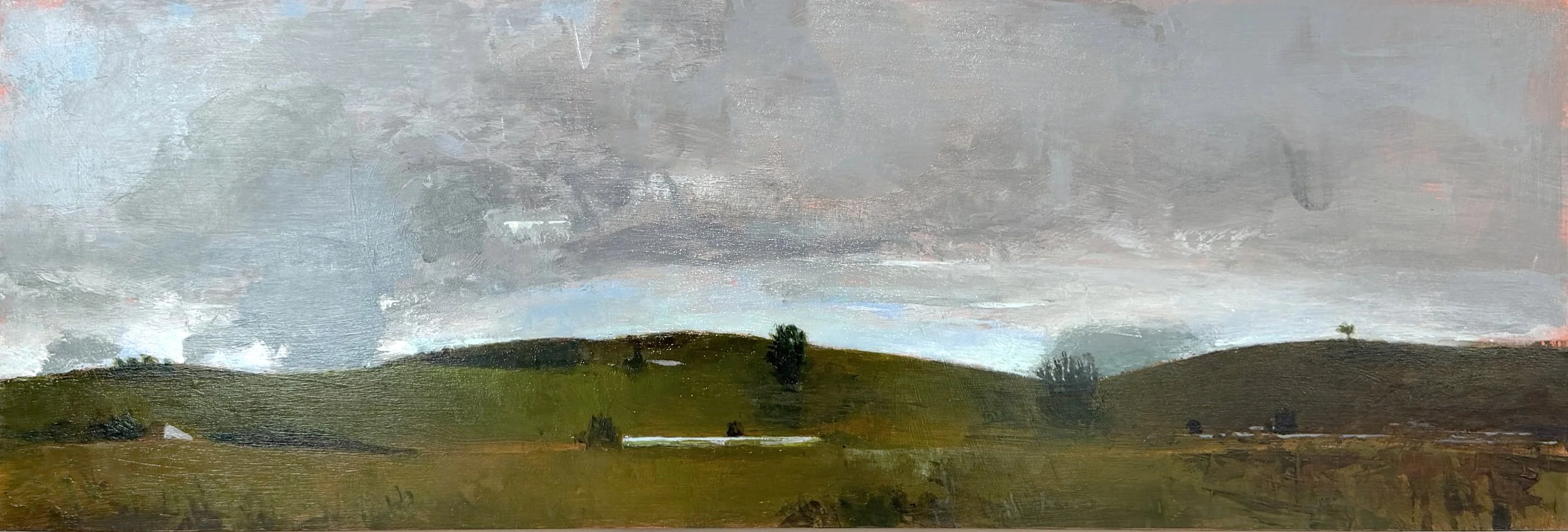 Petaluma Fog Belt
Acrylic on Panel
12" X 36"
$2,200