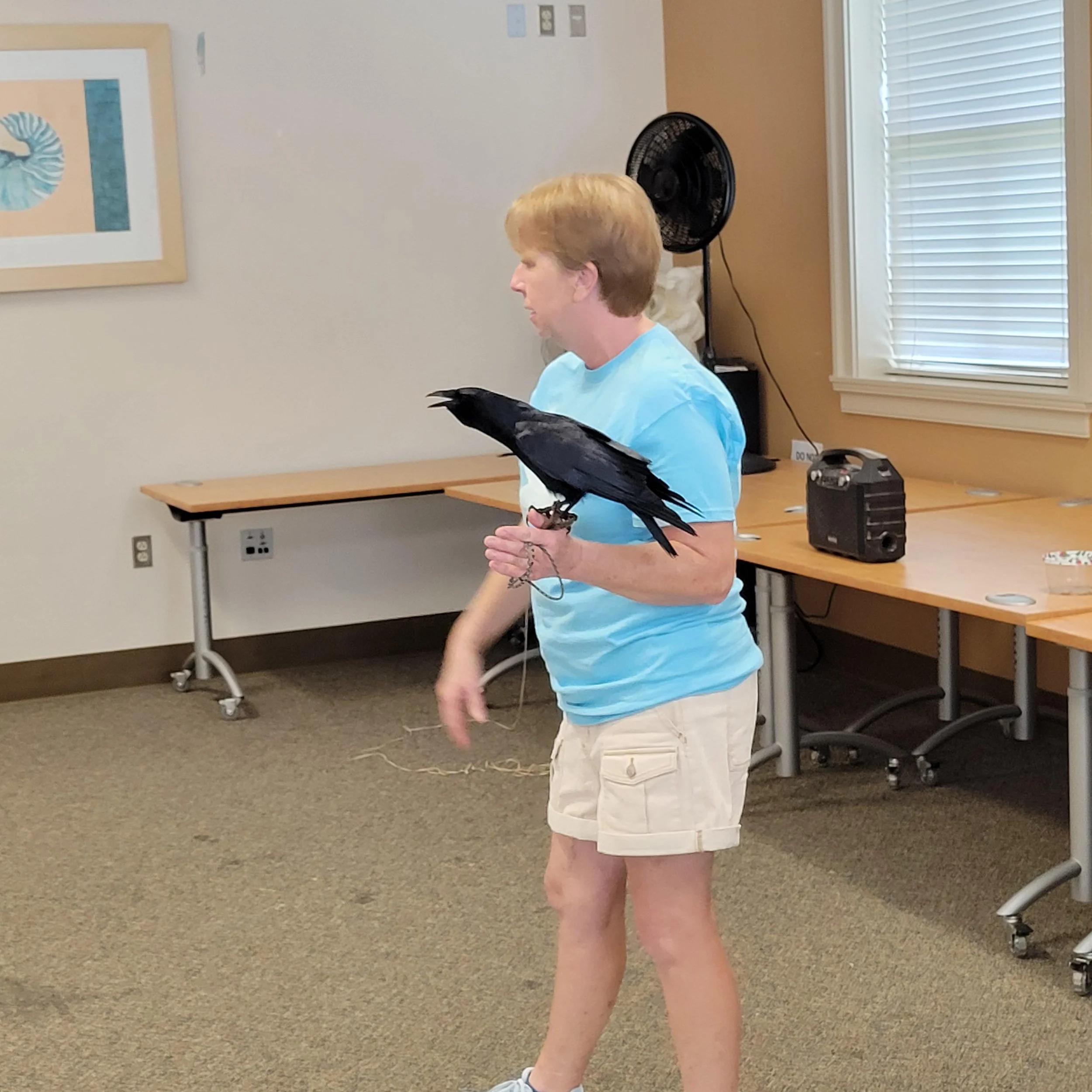 20250602_WV_FreedomRanchWildlife_005 (1).jpg