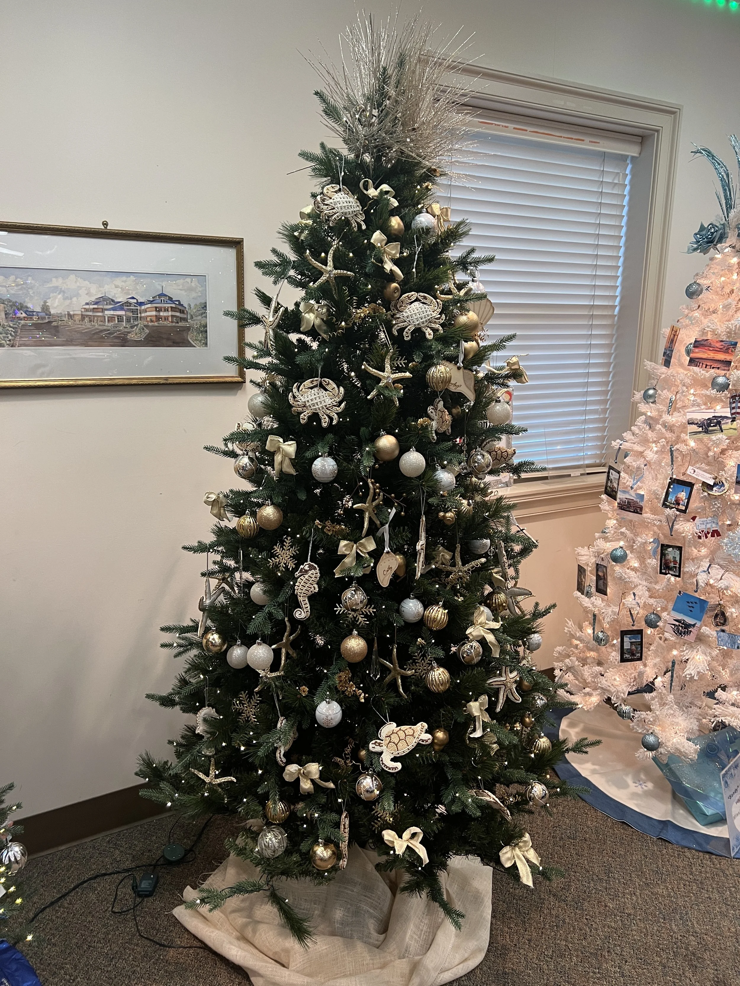 26 Waveland Staff Tree.JPG