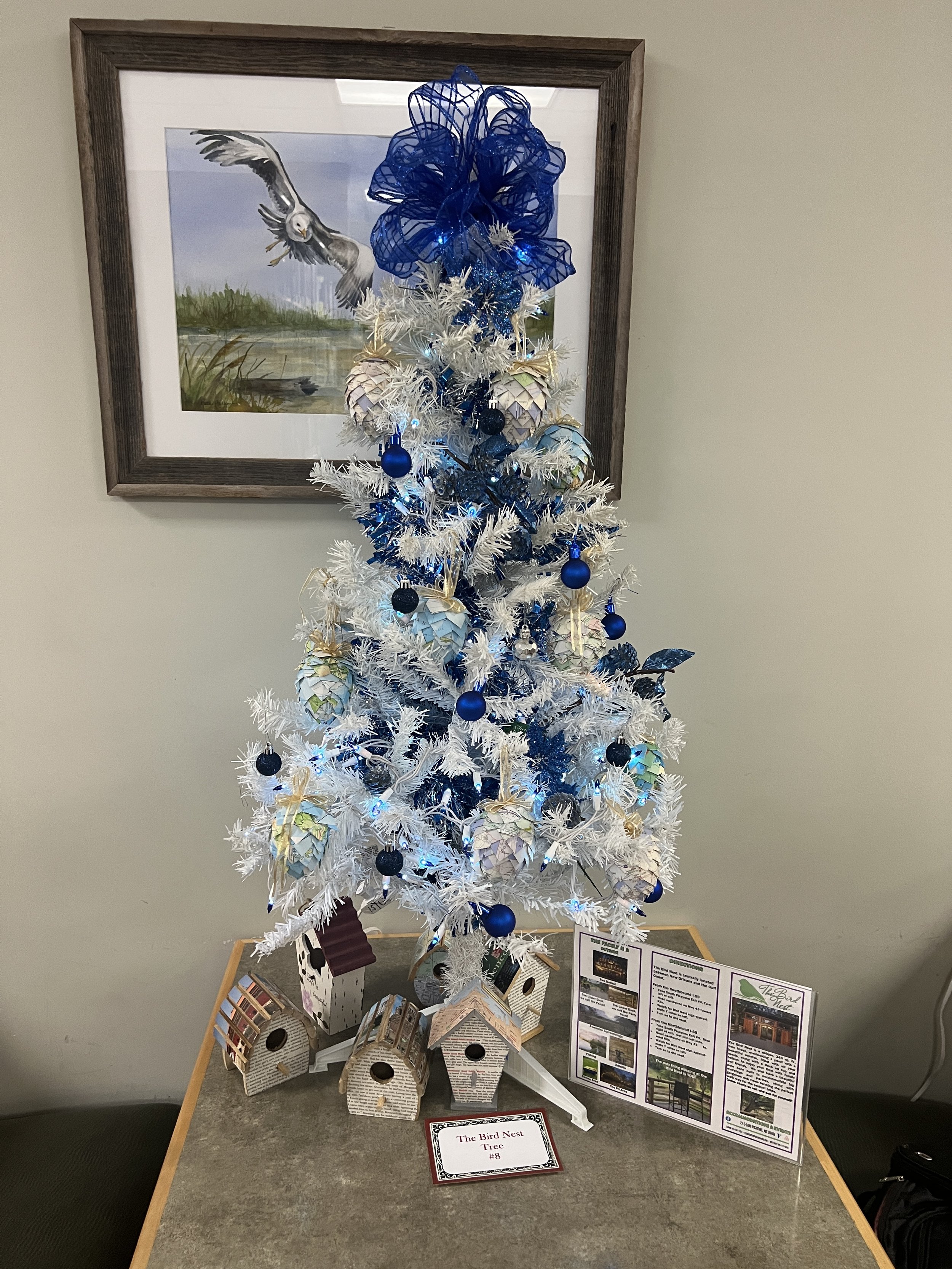 8. The Bird Nest Tree.JPG