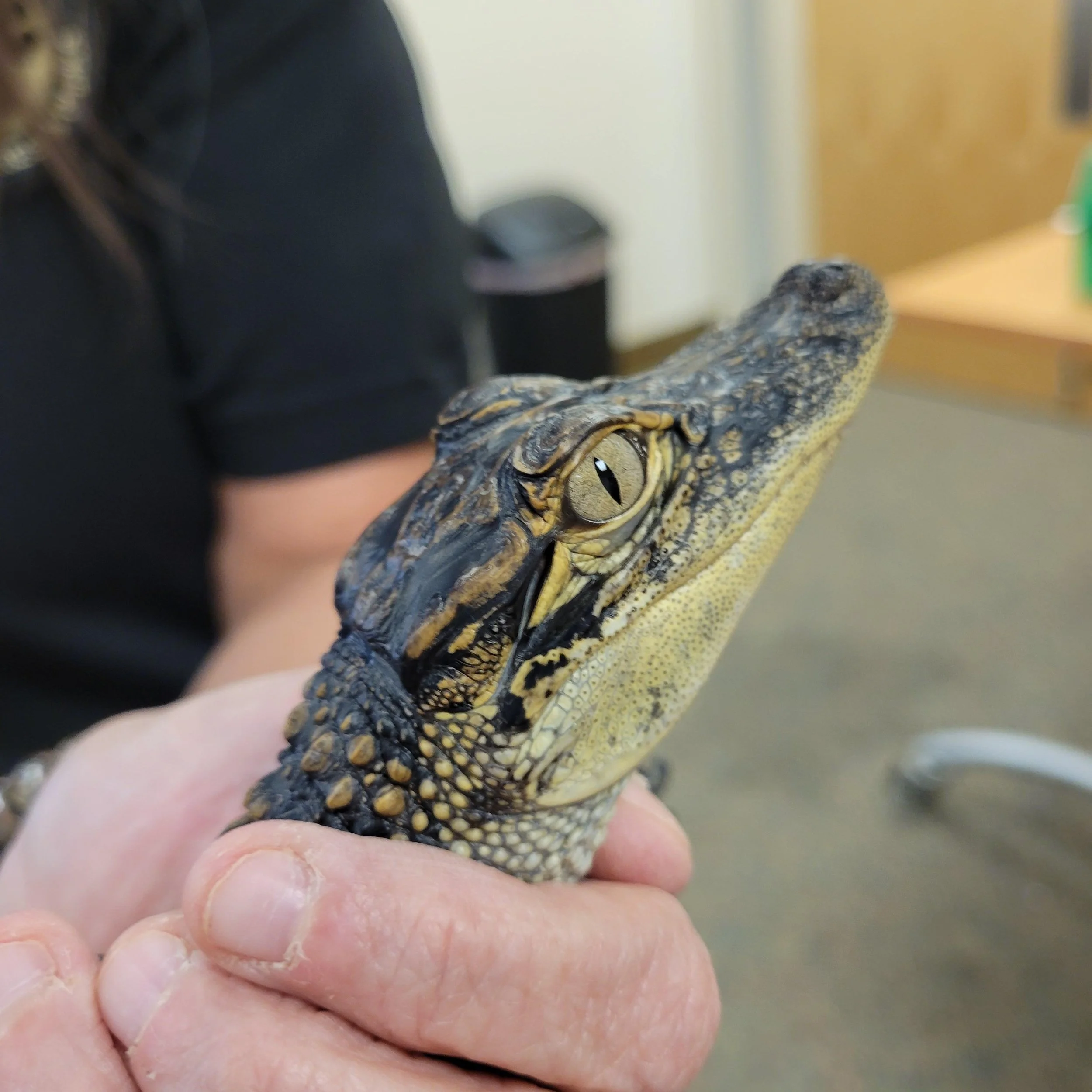 20250630_WV_MuseumofScience_004 (1).jpg