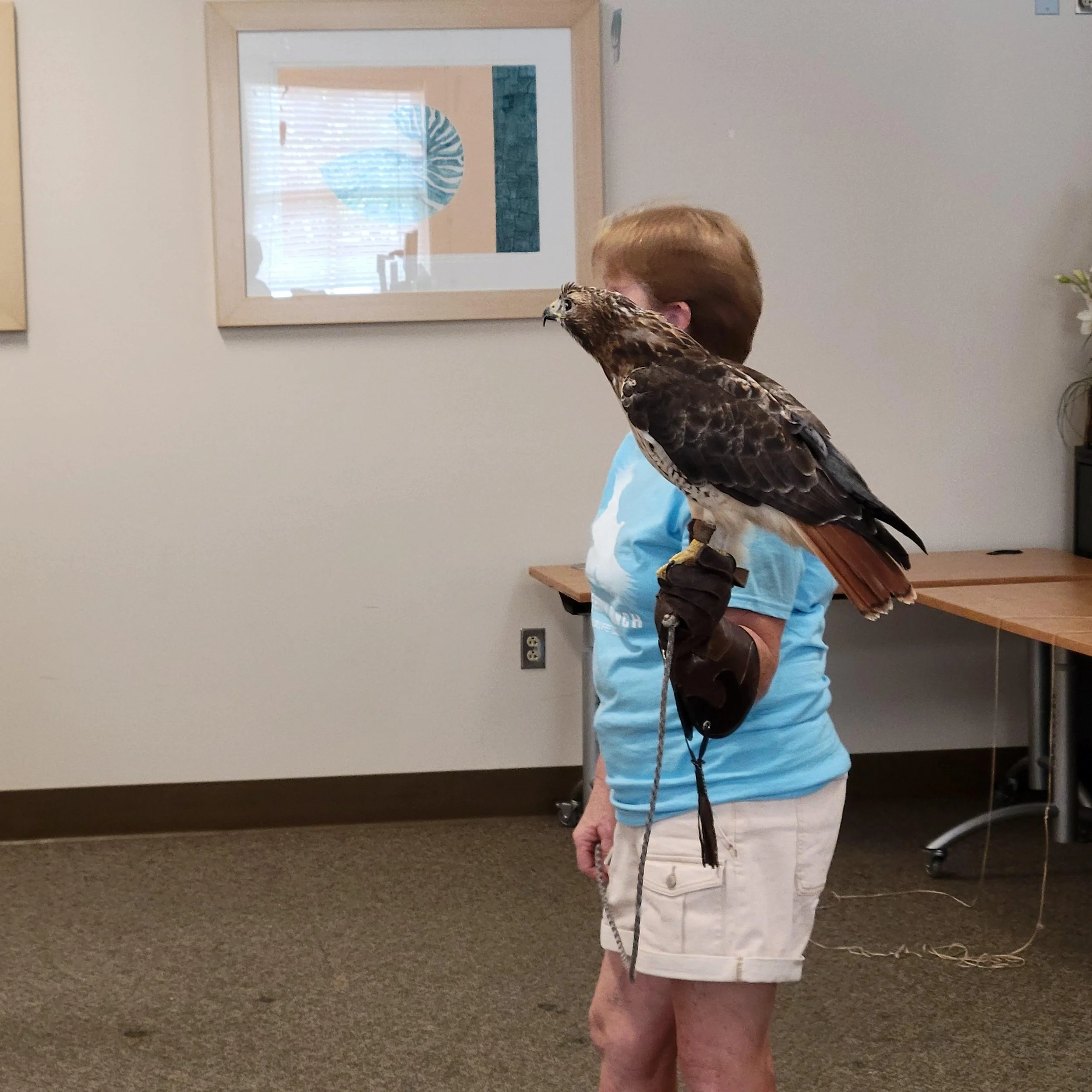 20250602_WV_FreedomRanchWildlife_002 (1).jpg