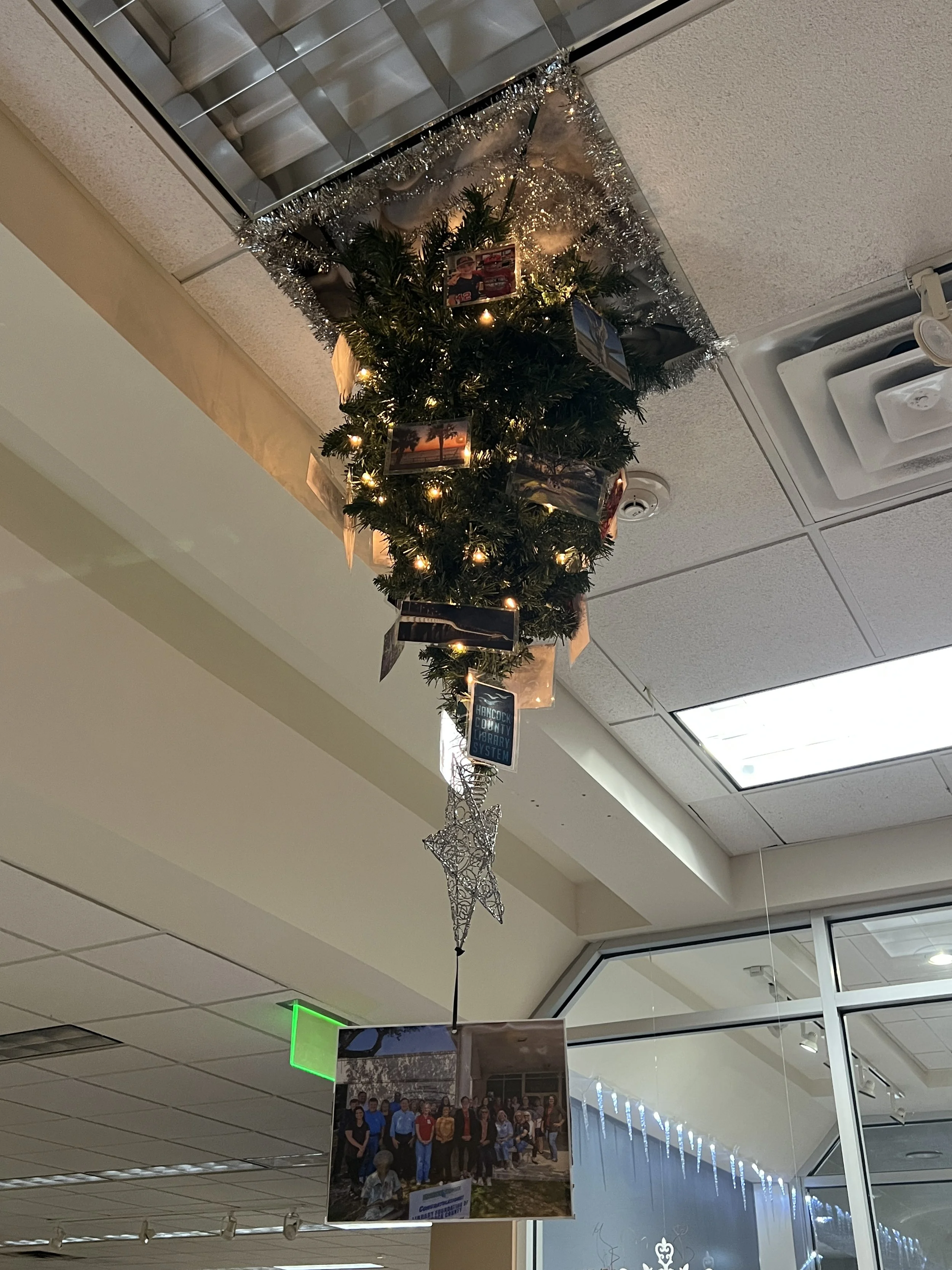 4. Brdecka Family Tree.JPG