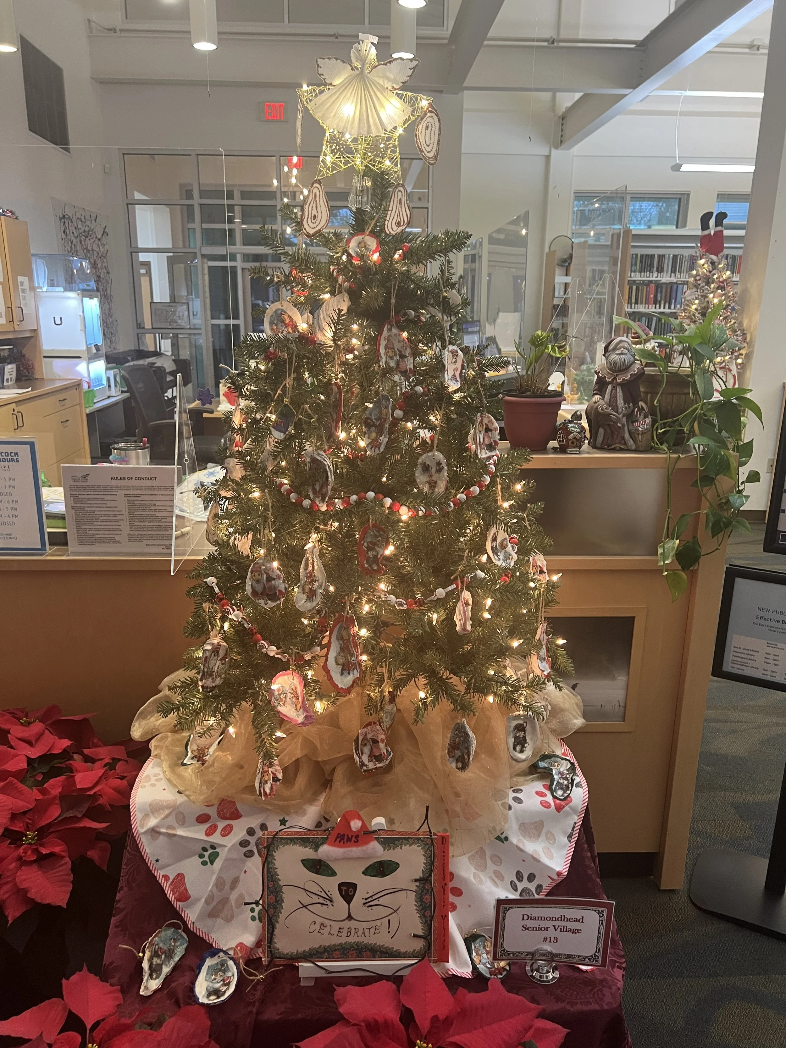 13. Diamondhead Senior Village.JPG