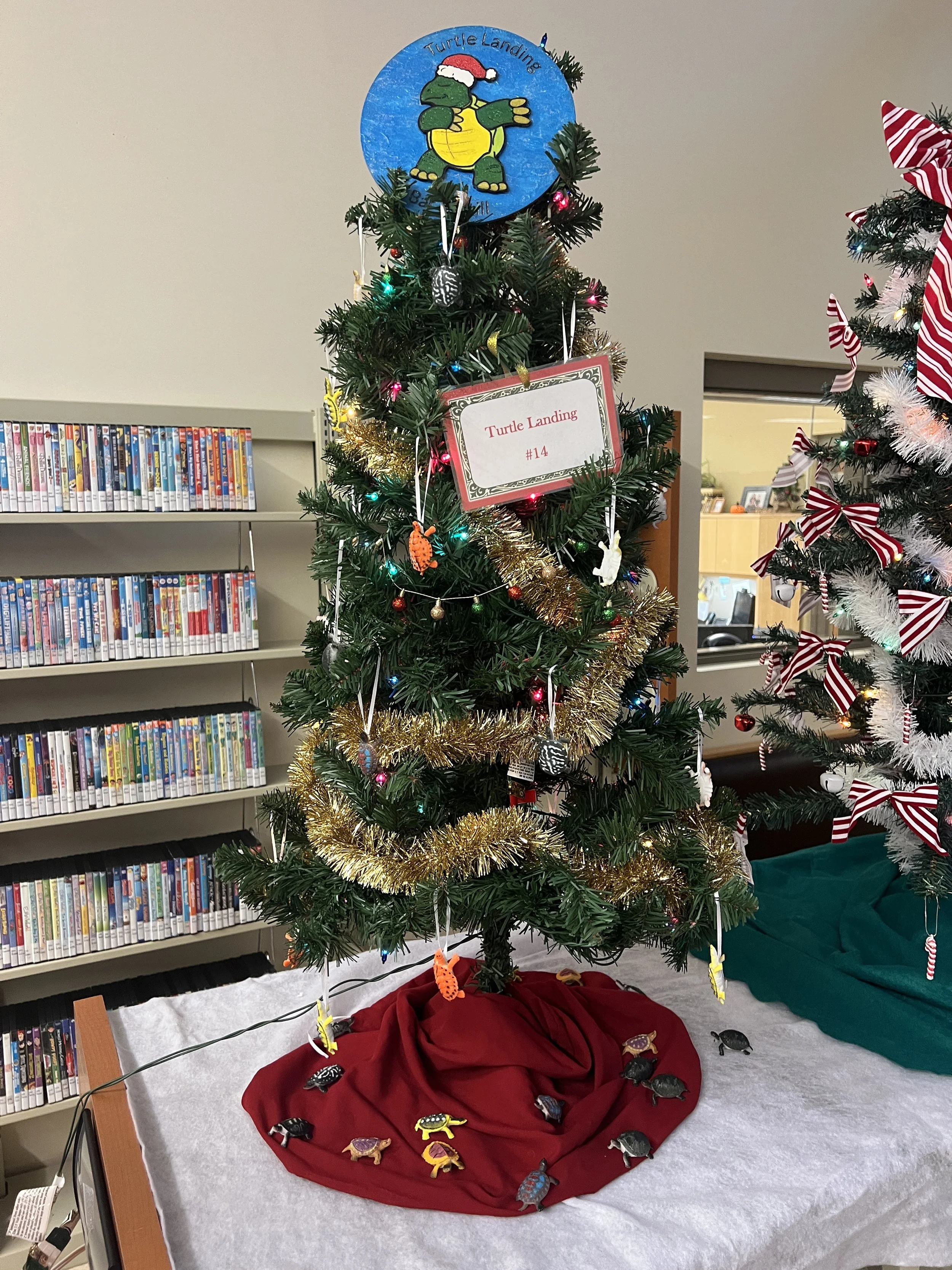 14. Turtle Landing.JPG