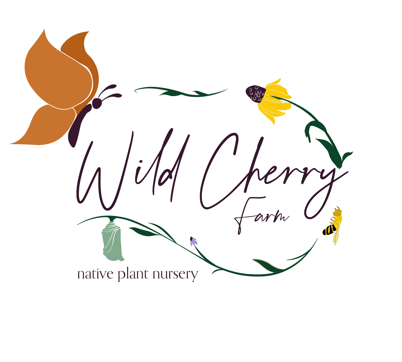 Dwarf Serviceberry (Amelanchier spicata)