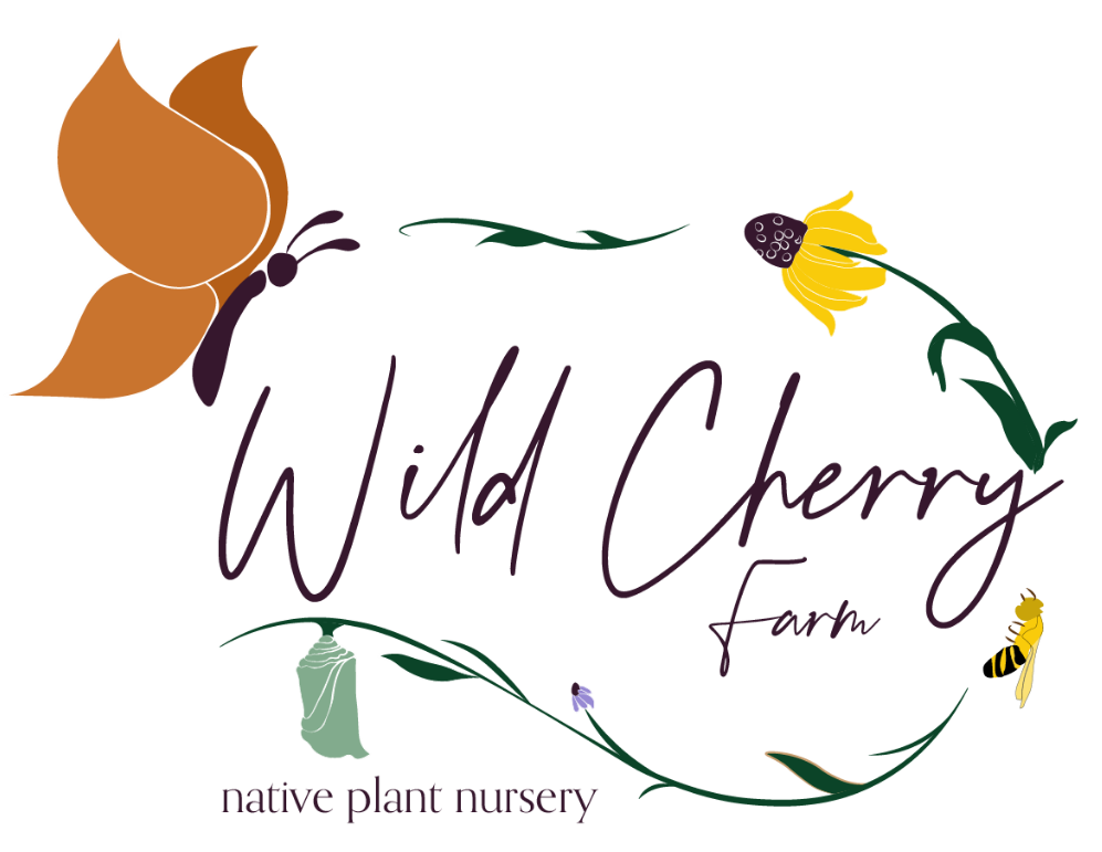 Wild Cherry Farm