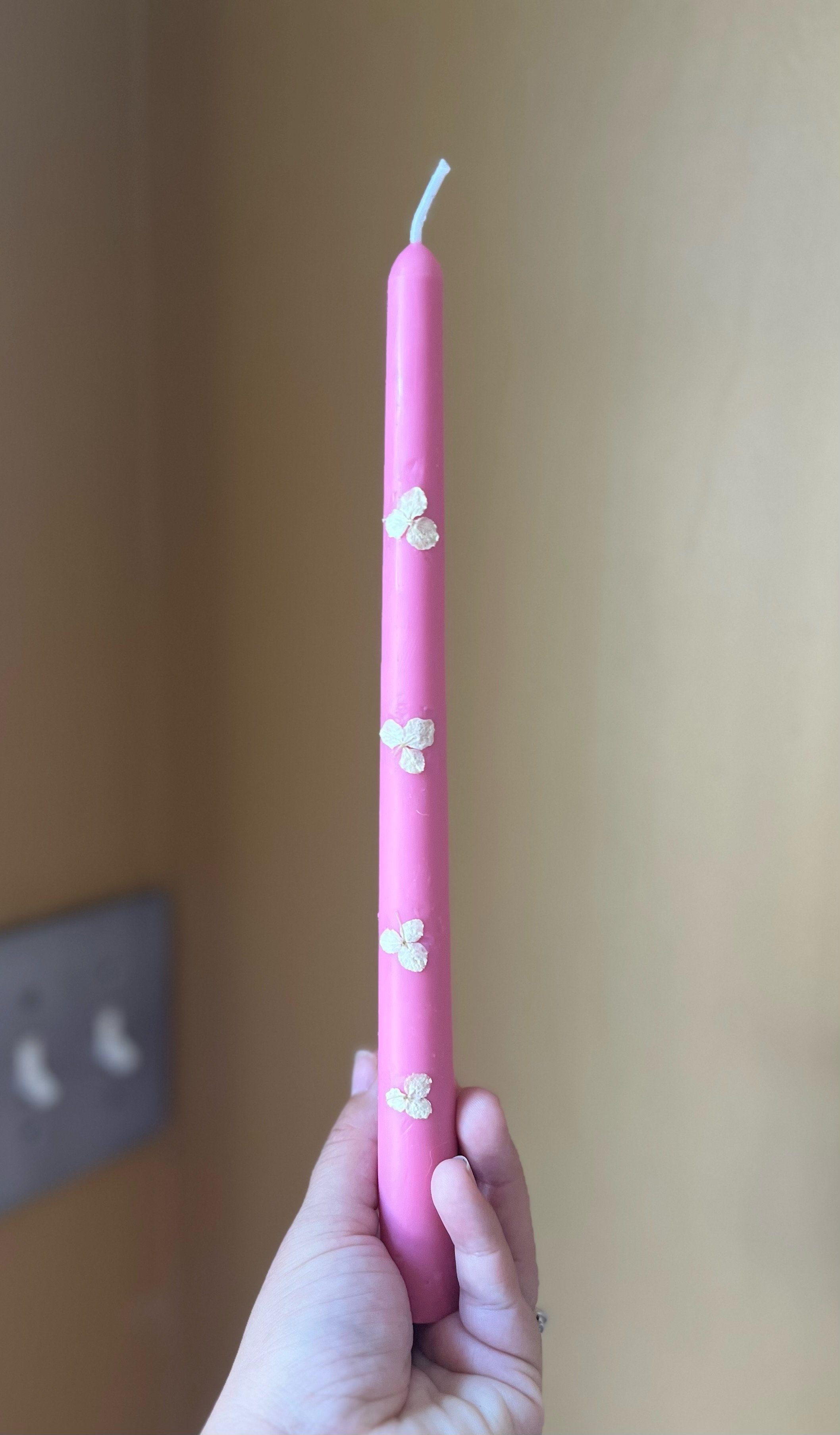 image1 (13).jpeg