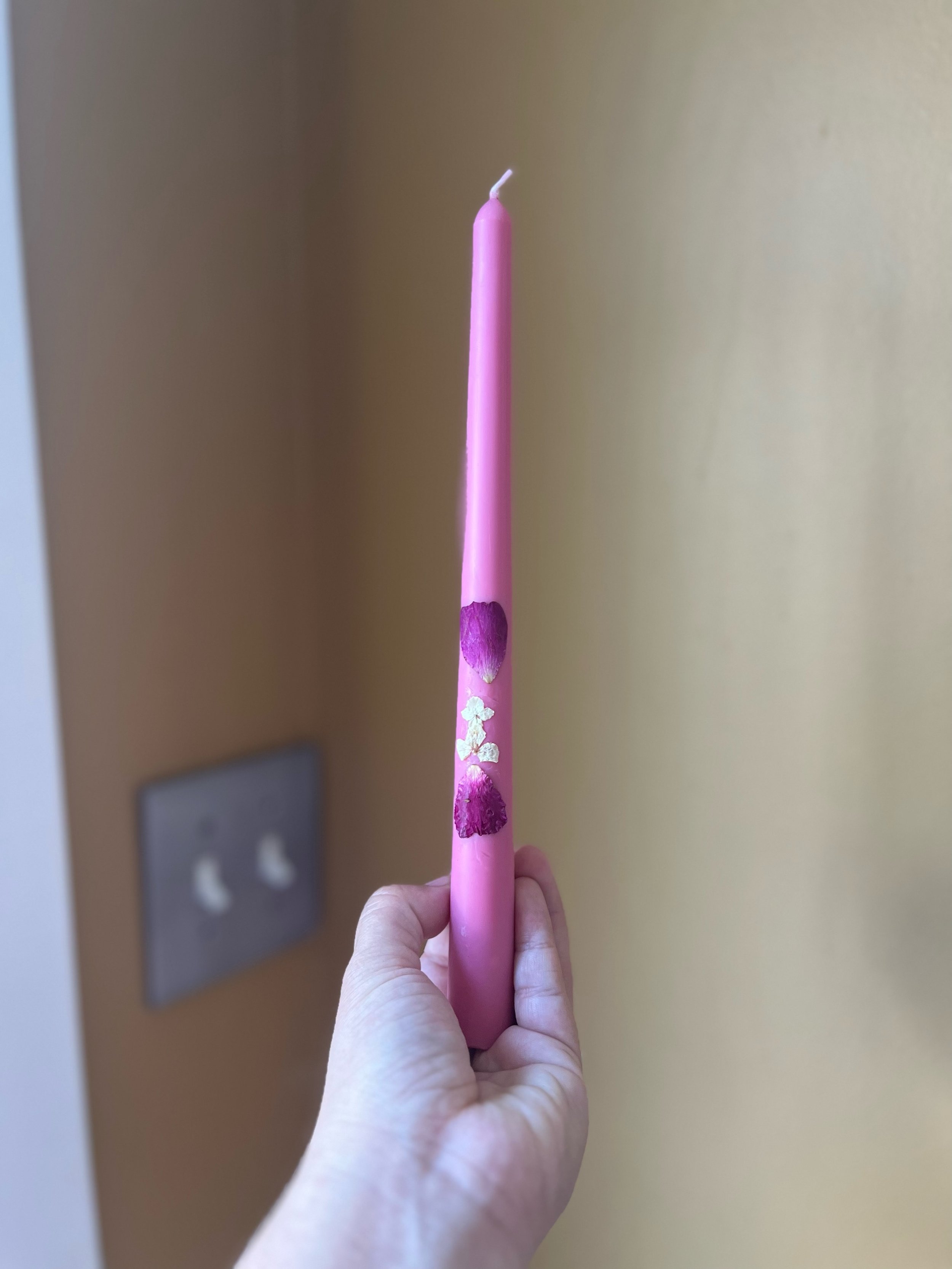 image2 (14).jpeg
