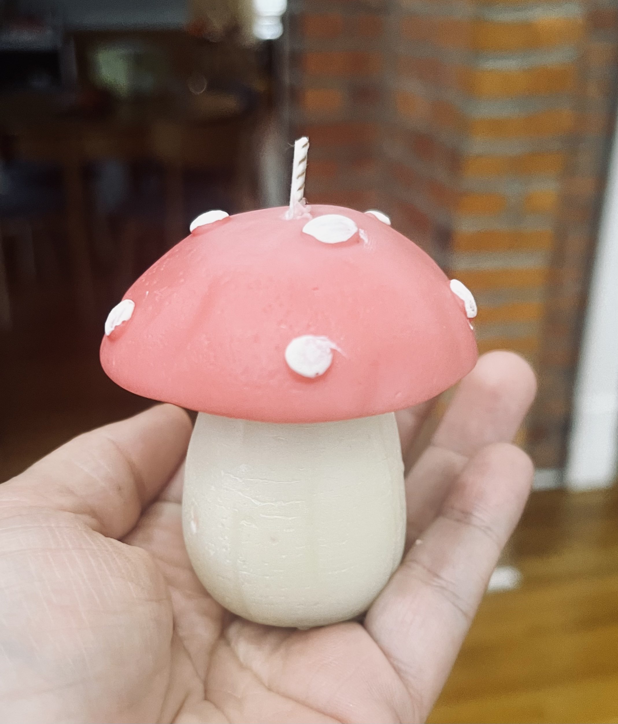 image6 (5).jpeg